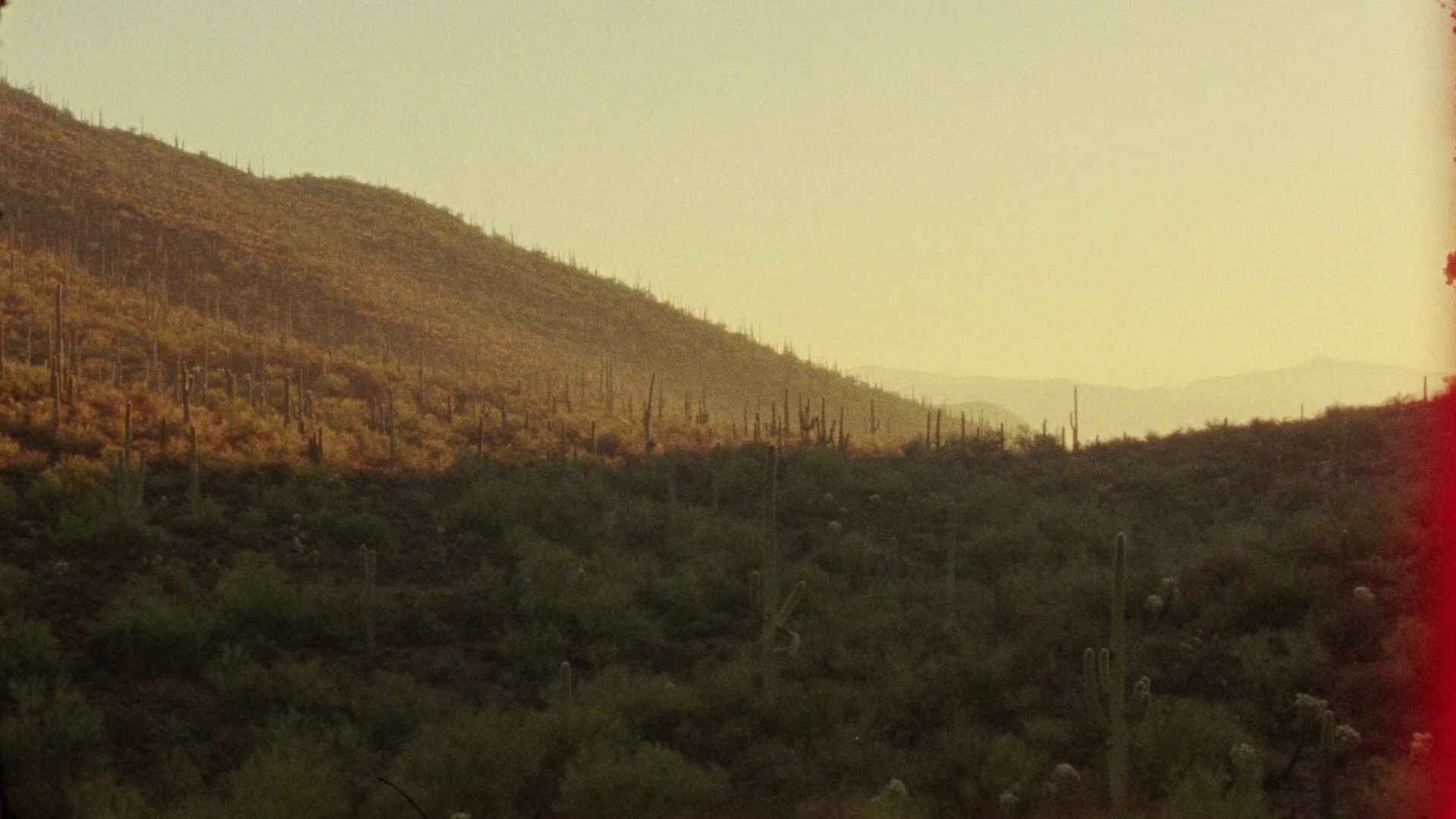 Carhartt - "Soft These Days" :30 (2024) —  shot,  lighting