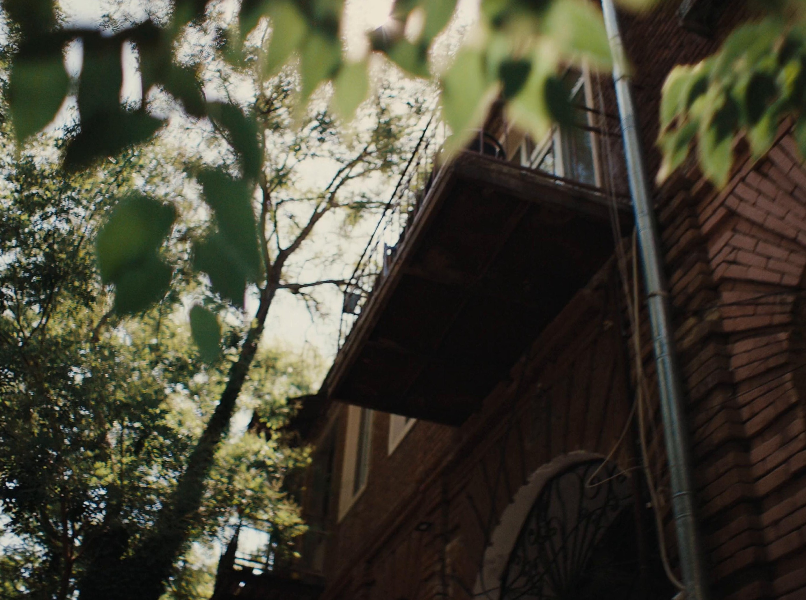 Zalando | Alex Cook (2024) —  shot,  lighting