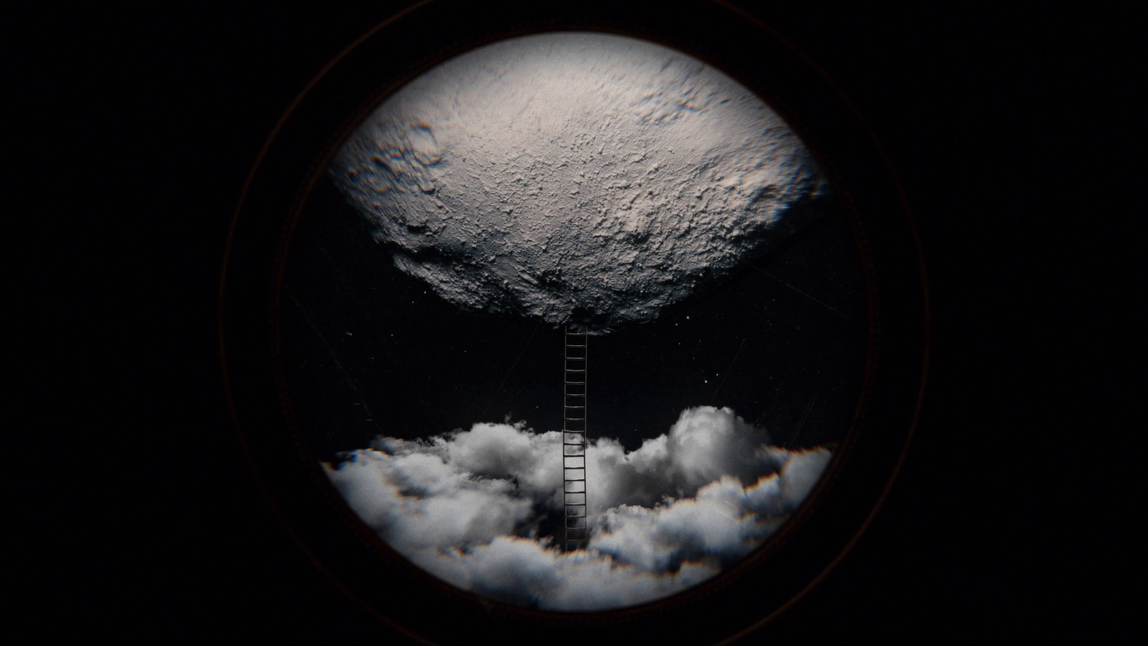 Sunflower (2023) —  shot,  lighting