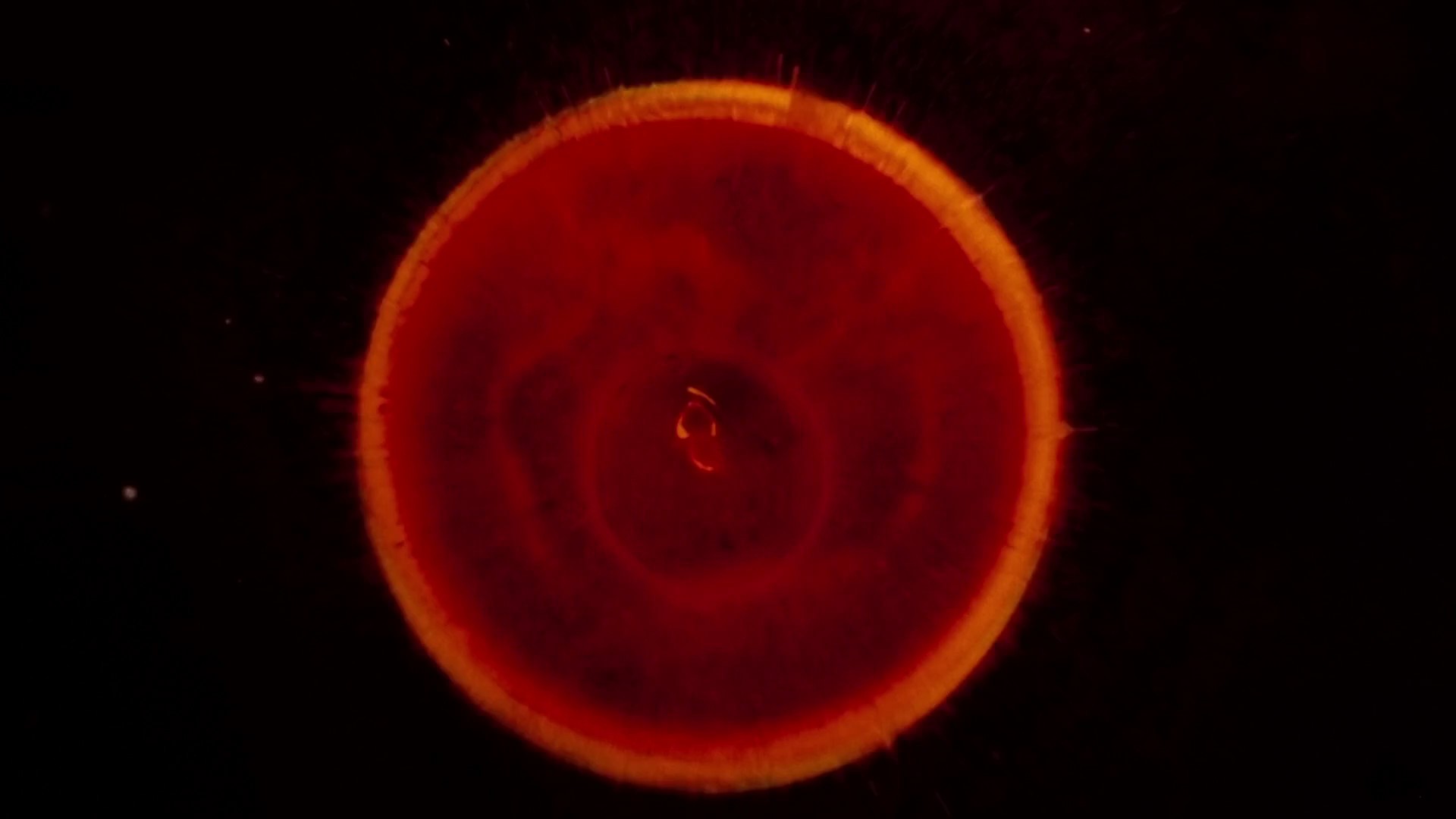 Altered States (1980) —  shot,  lighting