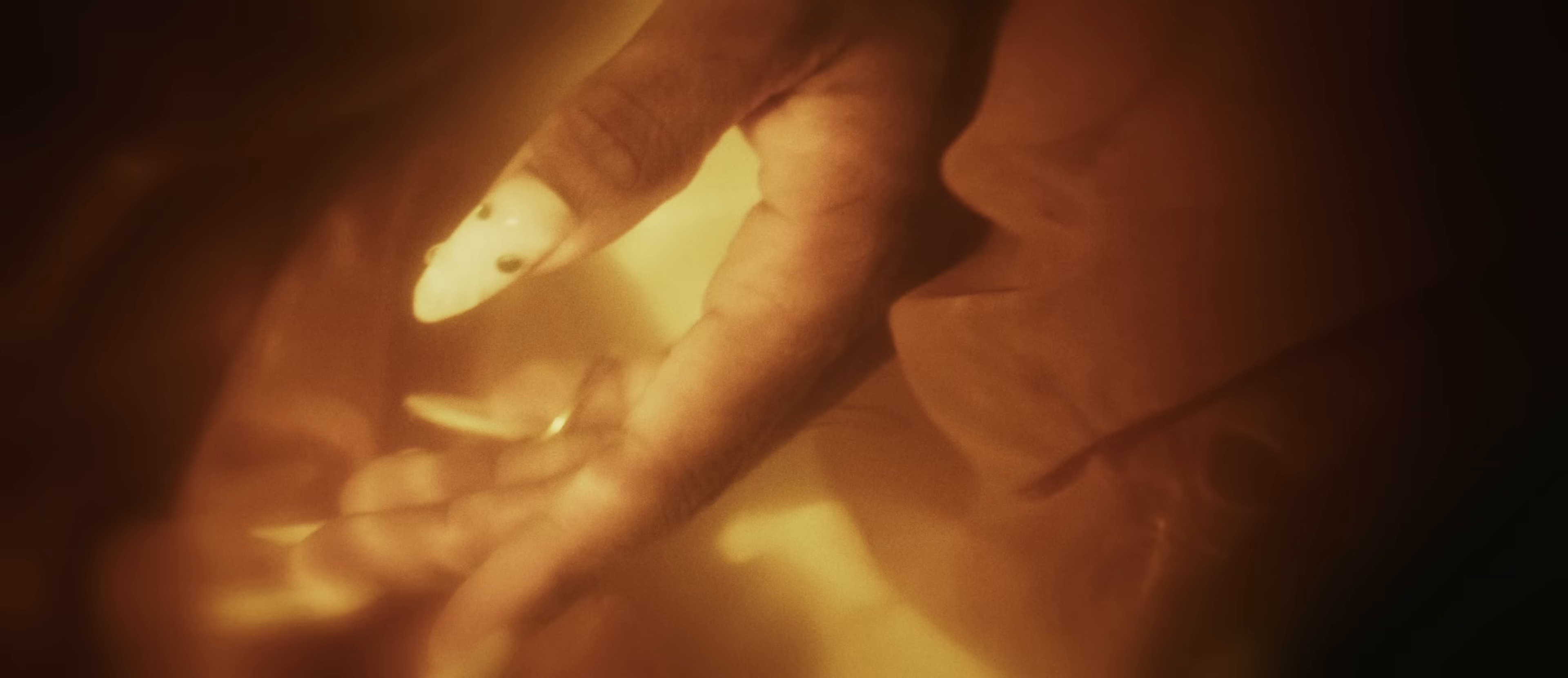 SAL Y AGUA BENDITA (2025) —  shot,  lighting