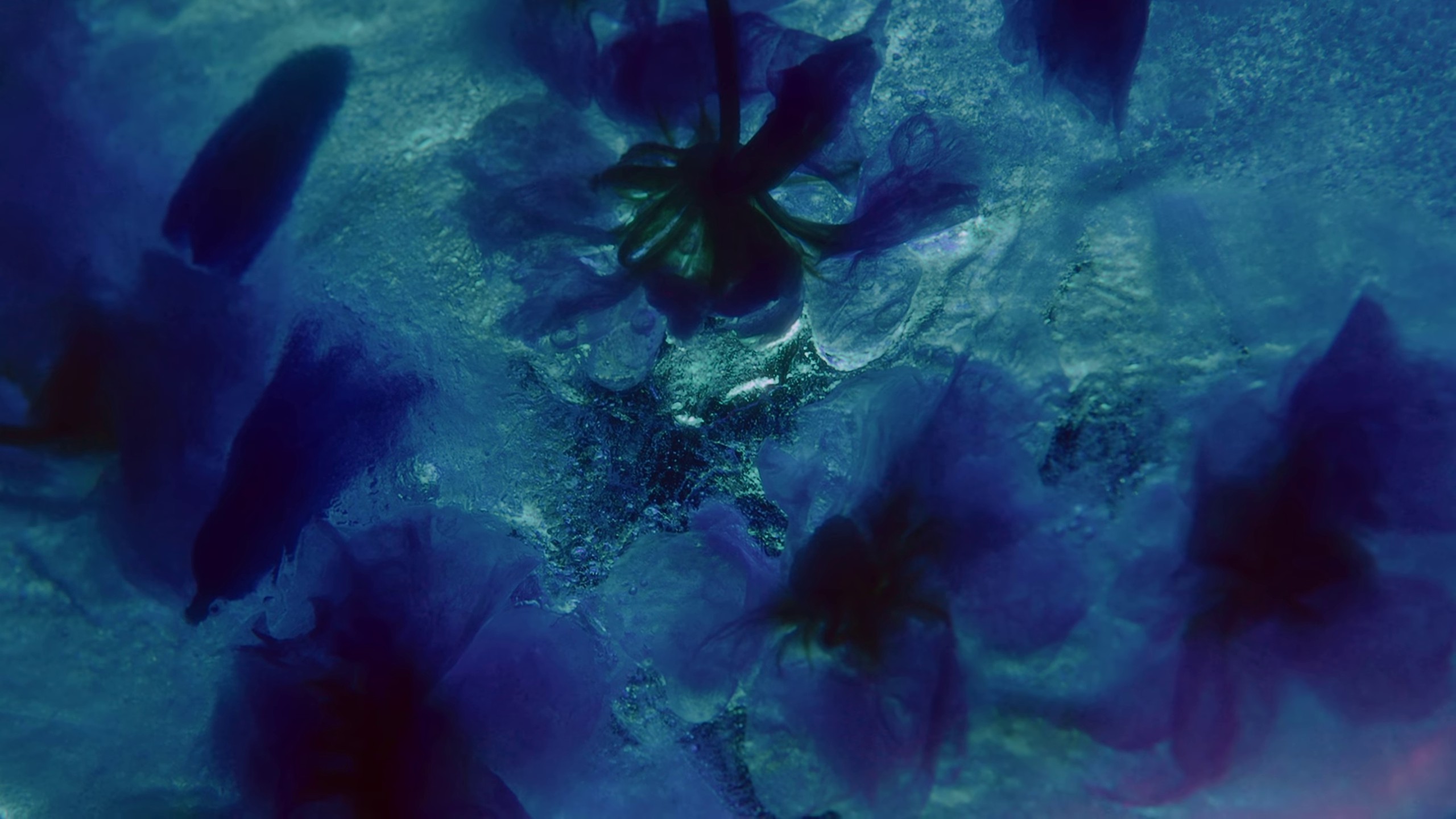 Firefly (2022) —  shot,  lighting