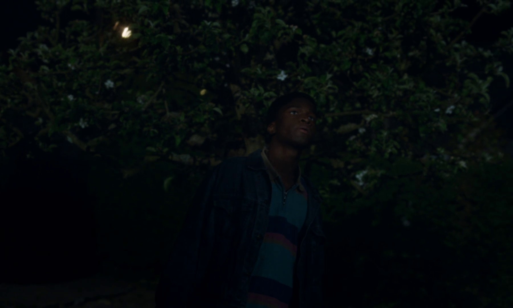 Mother and Son (2022) —  shot,  lighting