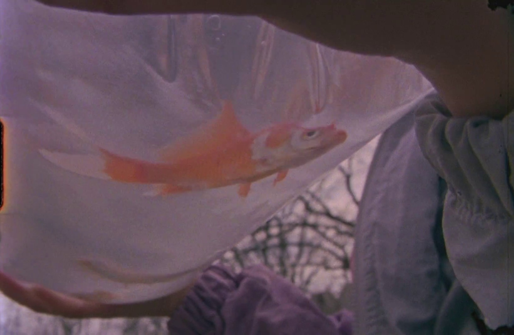 Wings (2013) —  shot,  lighting