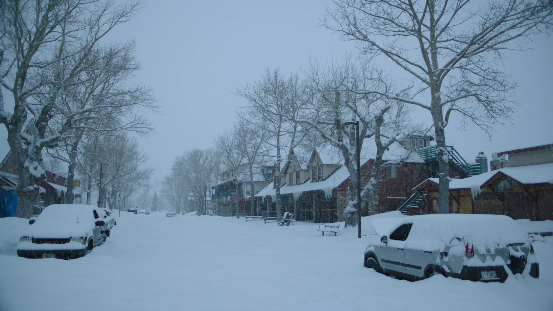 When We Are in Need (2023) —  shot,  lighting