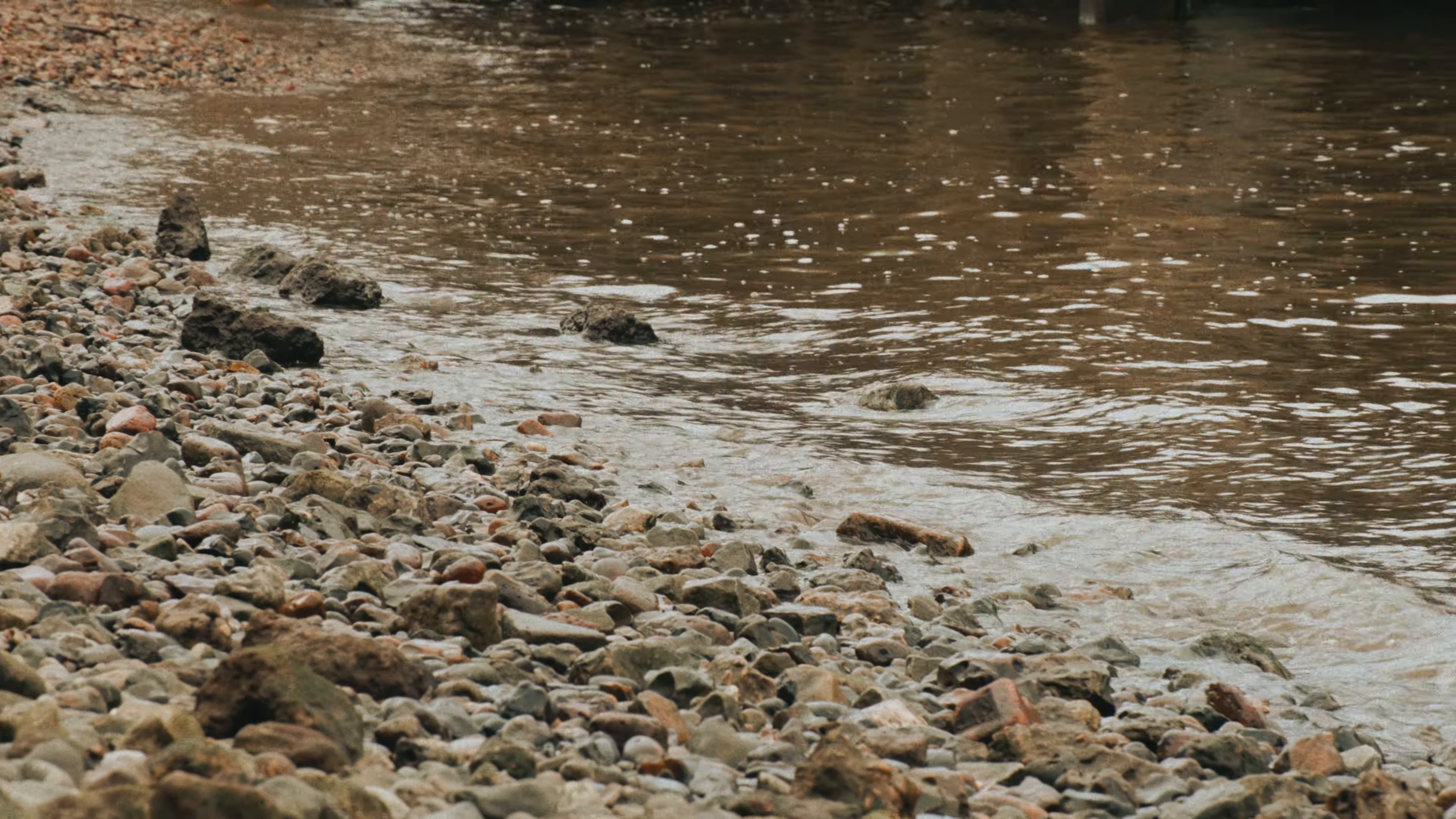 The Bonnie Banks (2024) —  shot,  lighting