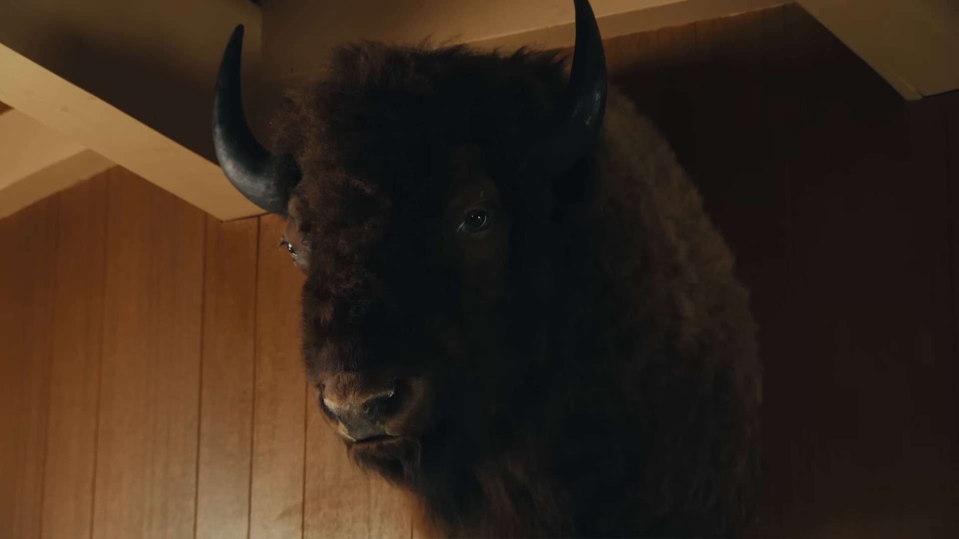 Thought You Were Waving (2024) —  shot,  lighting