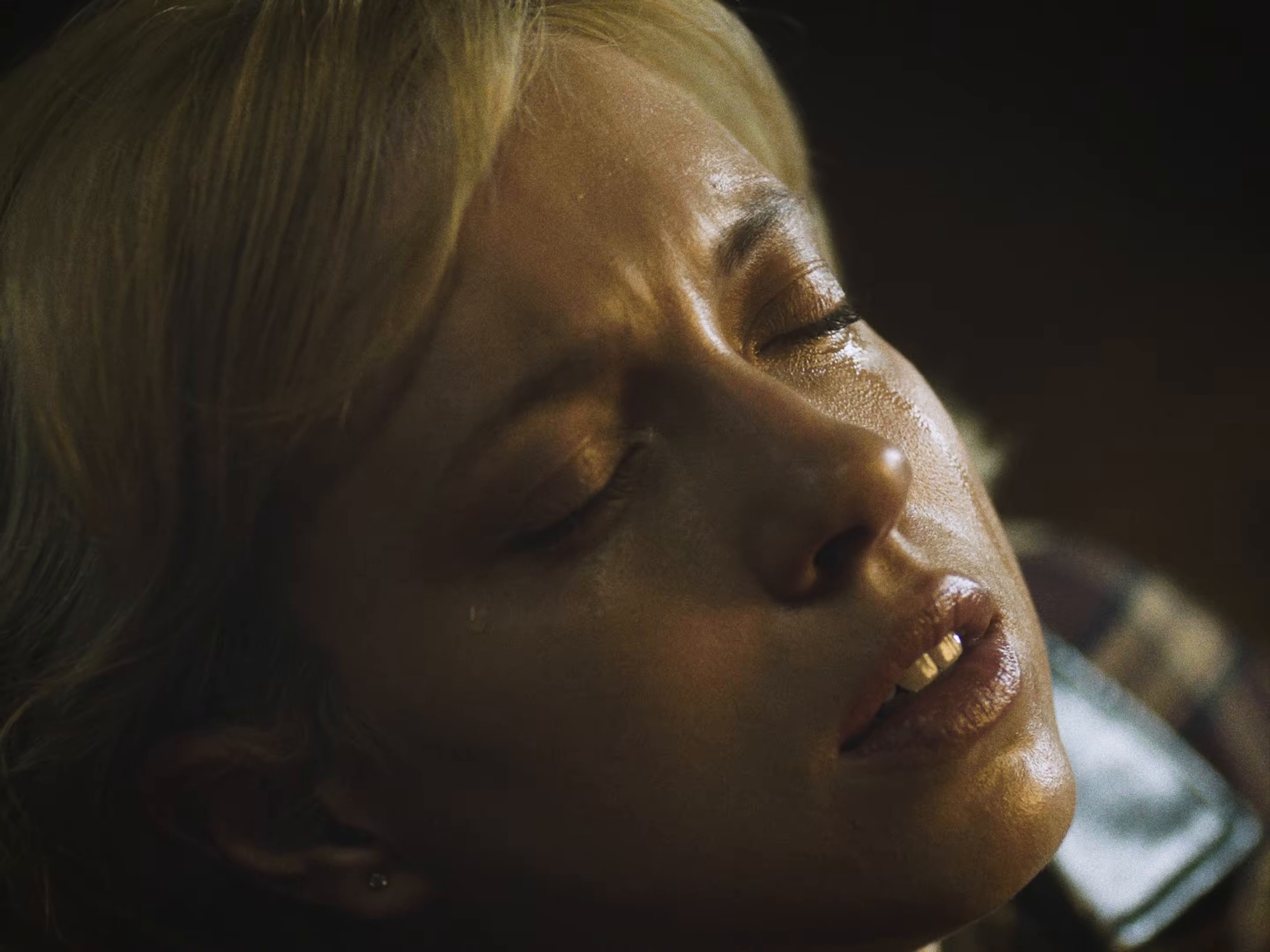 MI GATA (2026) —  shot,  lighting