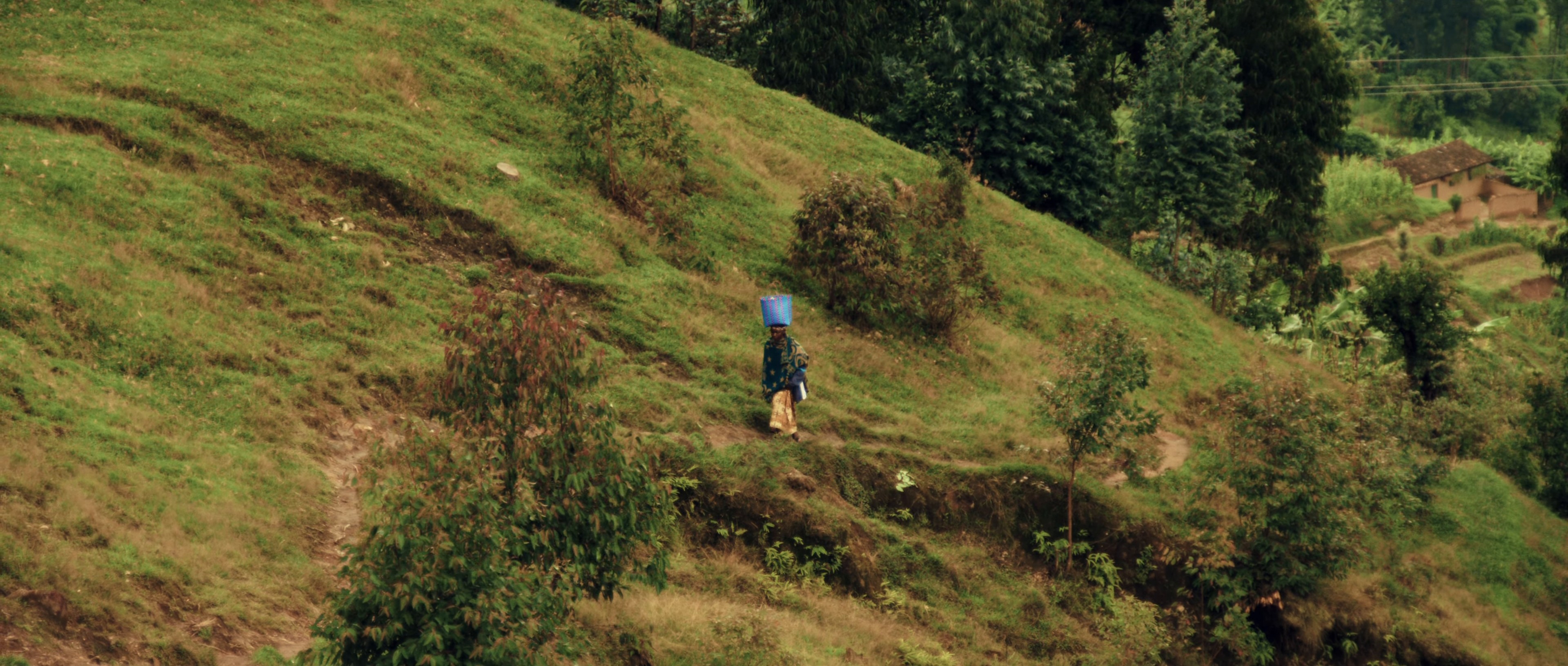 Farafina Mousso (2024) —  shot,  lighting