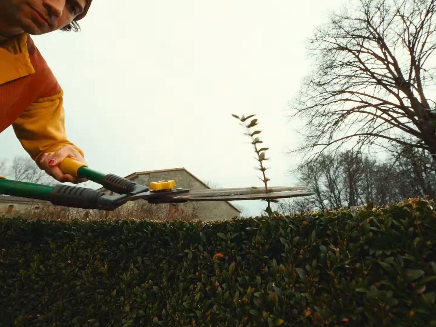 Le roi Soleil (2025) —  shot,  lighting