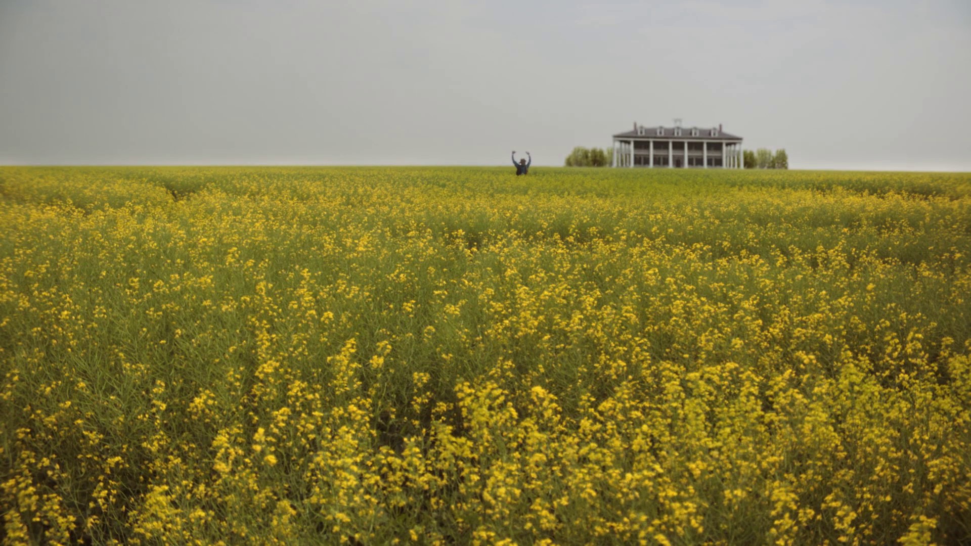 Alice in Slaughterland (2018) —  shot,  lighting