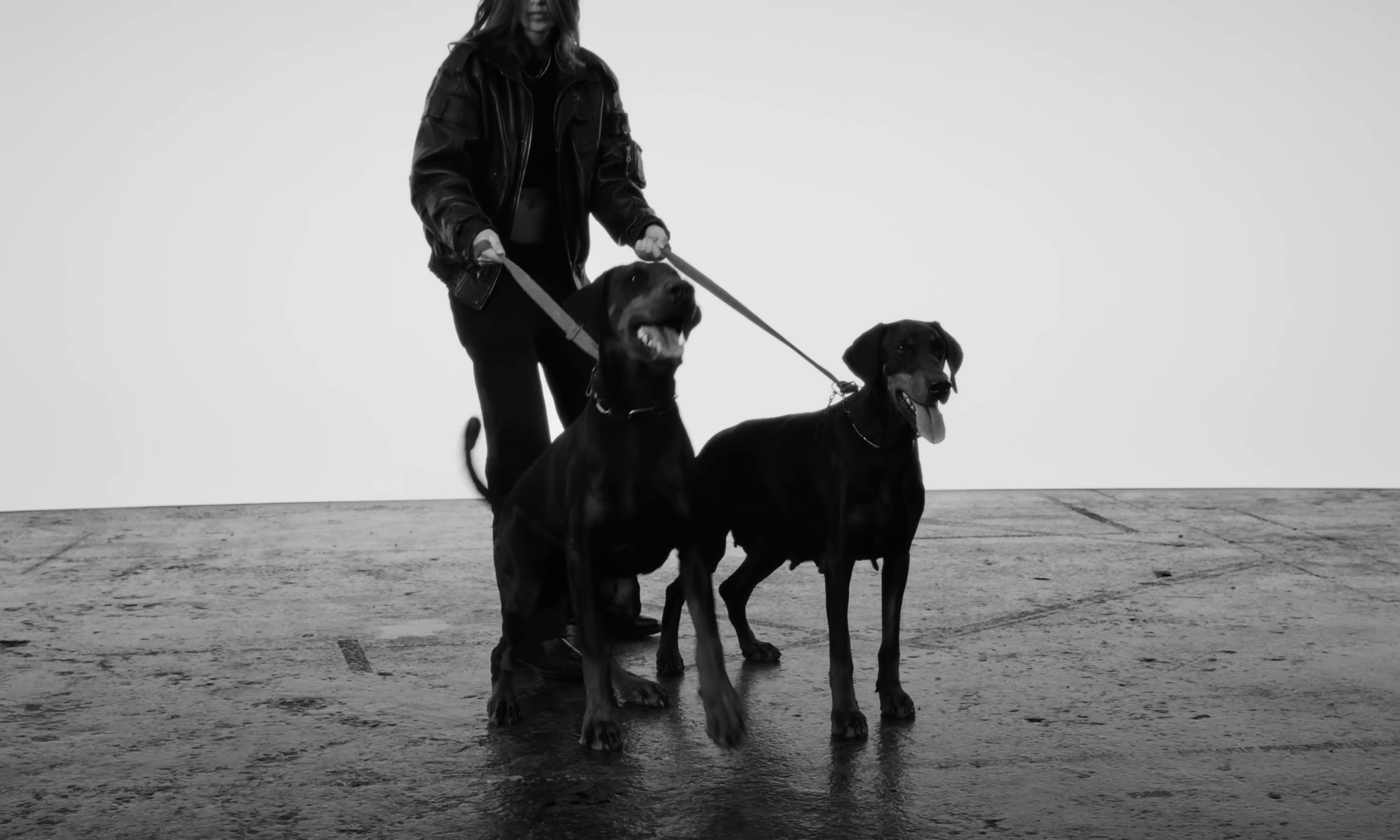 Extendo  (2023) —  shot,  lighting