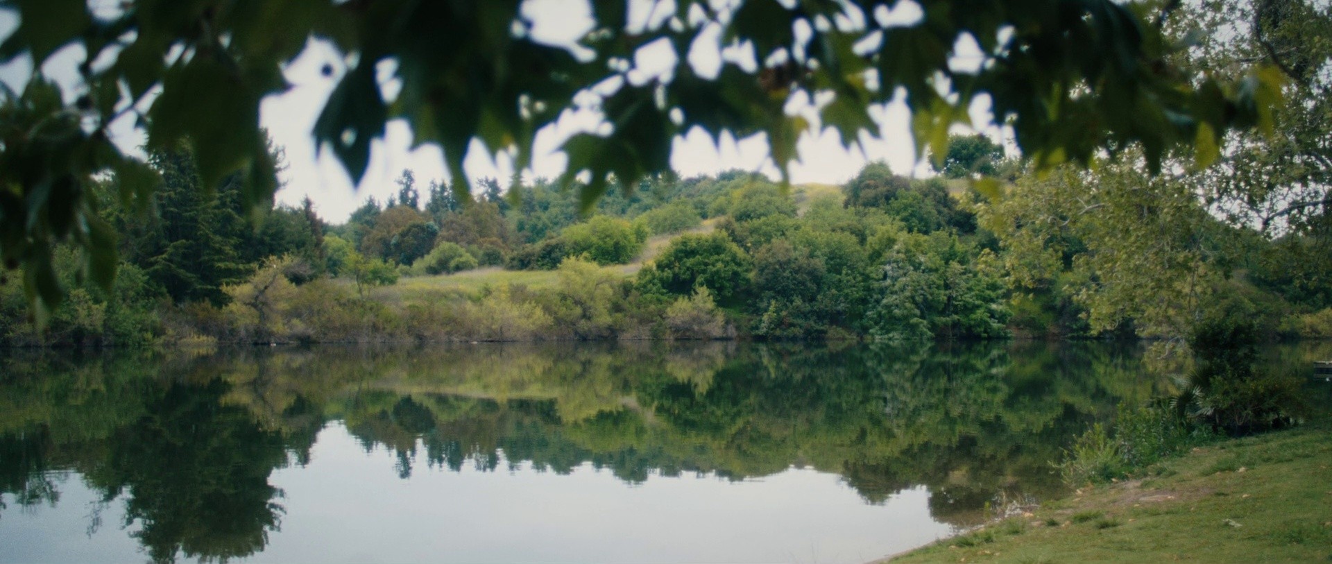 The Godfather (2025) —  shot,  lighting