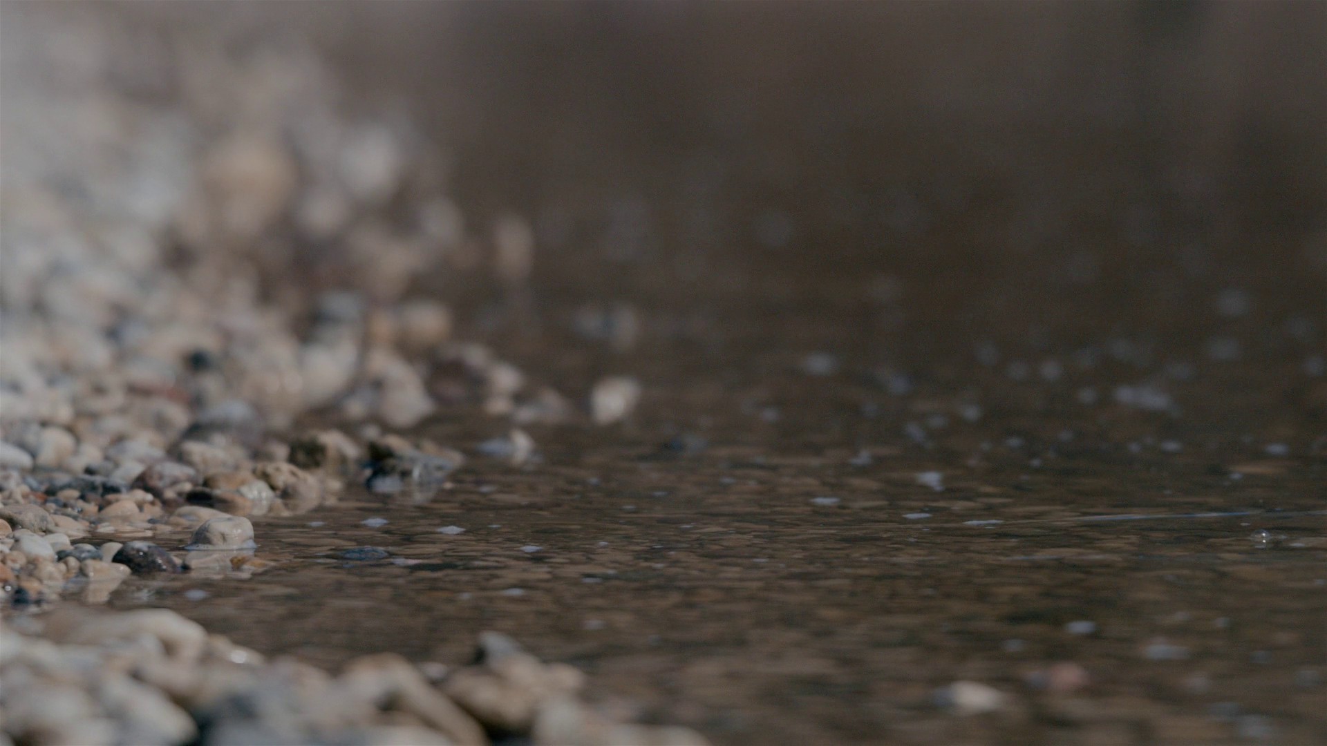 Stasis (2020) —  shot,  lighting