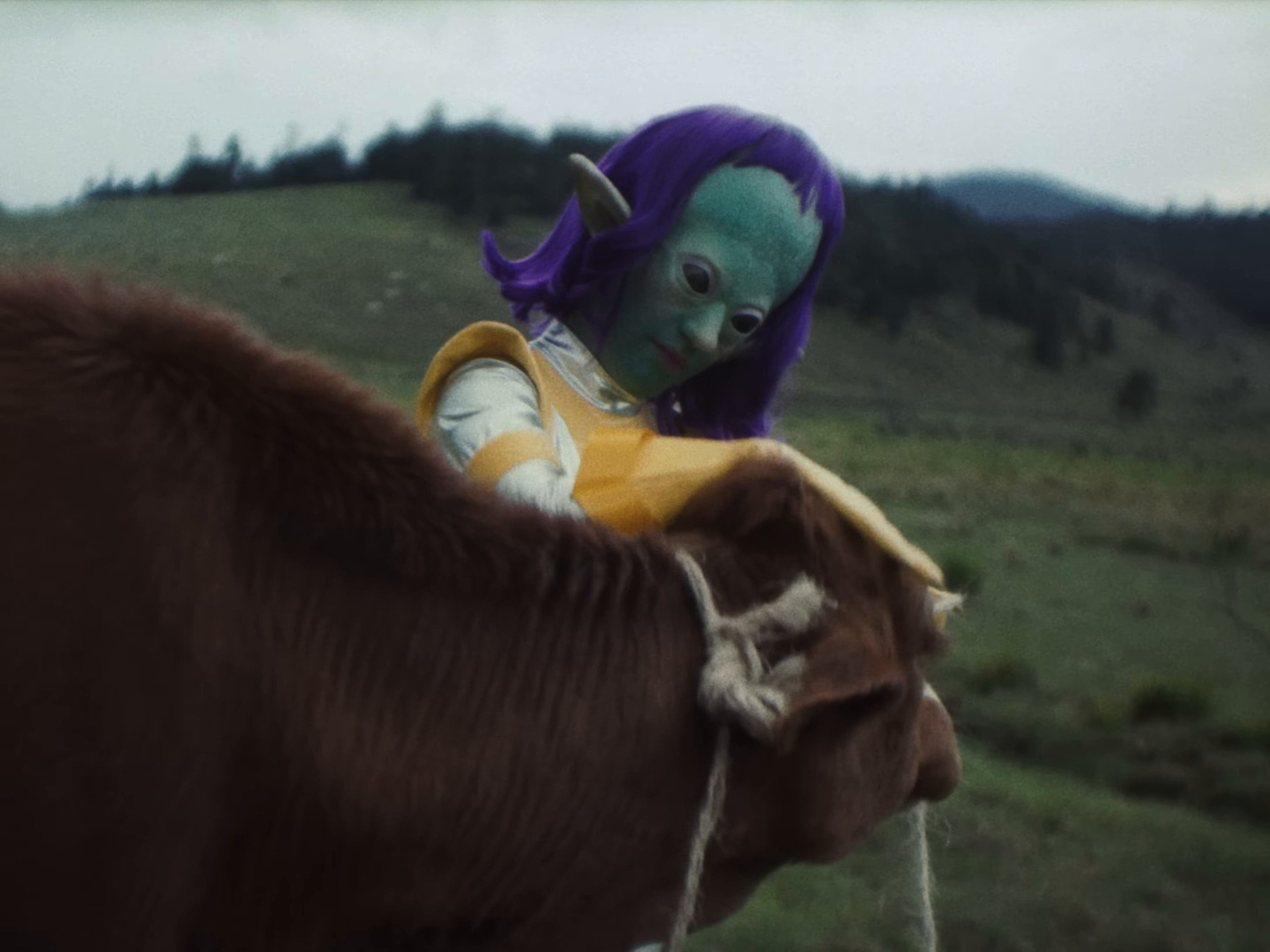 Show Pony (2024) —  shot,  lighting