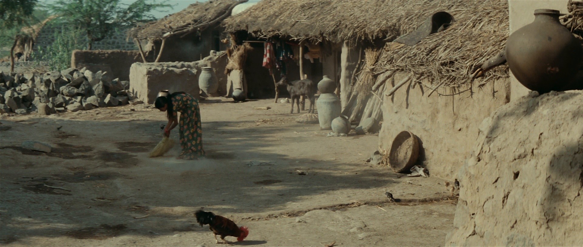 The Village Had No Walls (1996) —  shot,  lighting