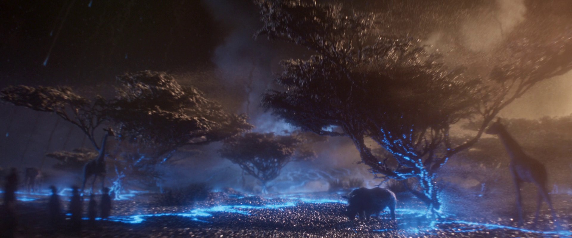 Black Panther (2018) —  shot,  lighting