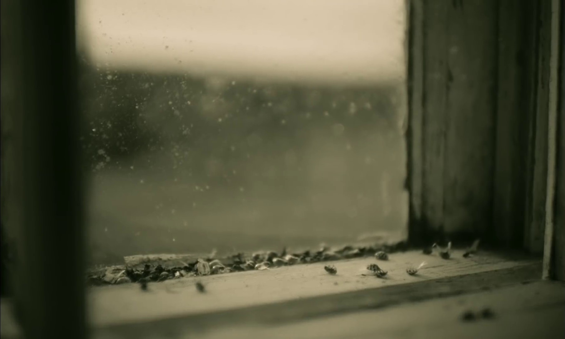 Hello (2015) —  shot,  lighting