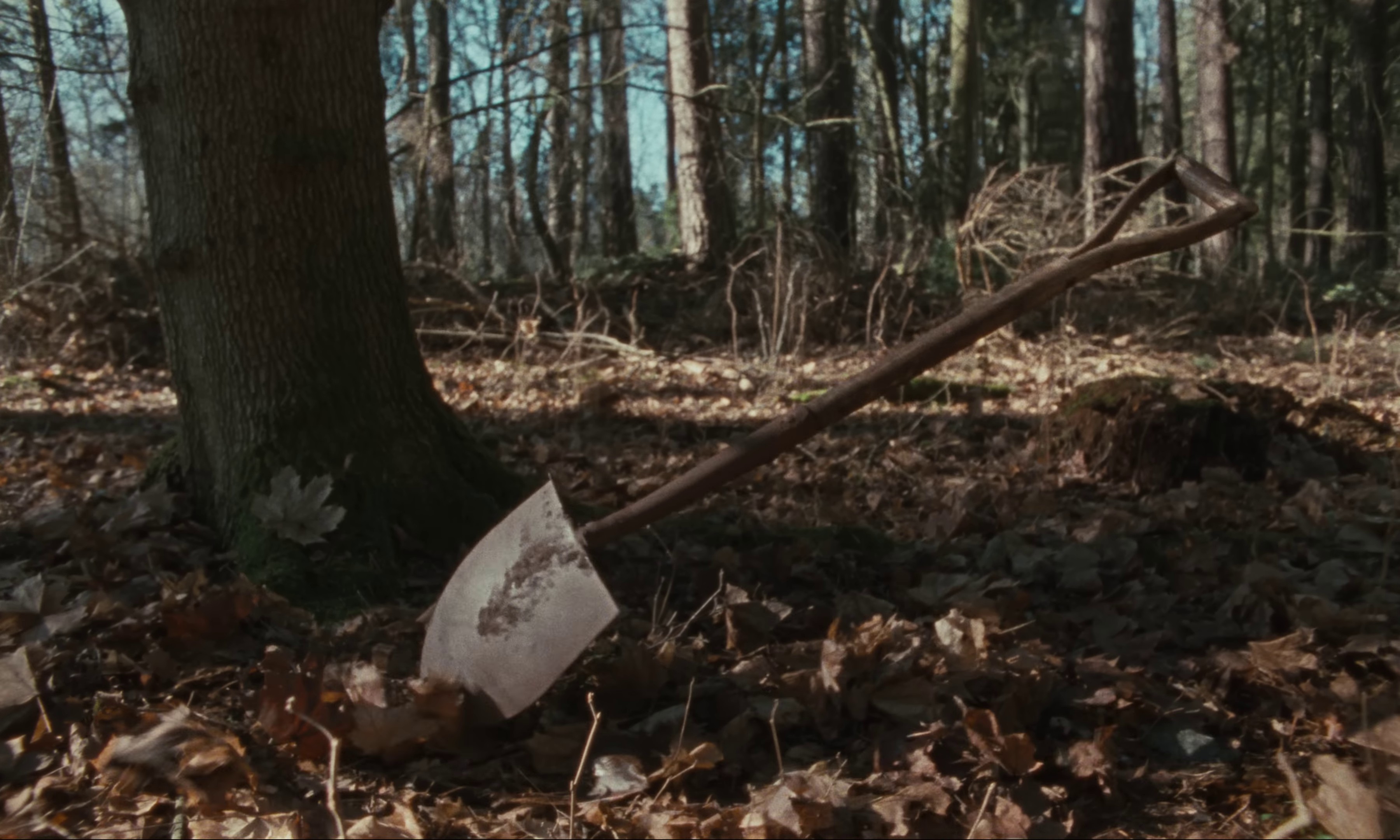 Bogus Operandi (2023) —  shot,  lighting