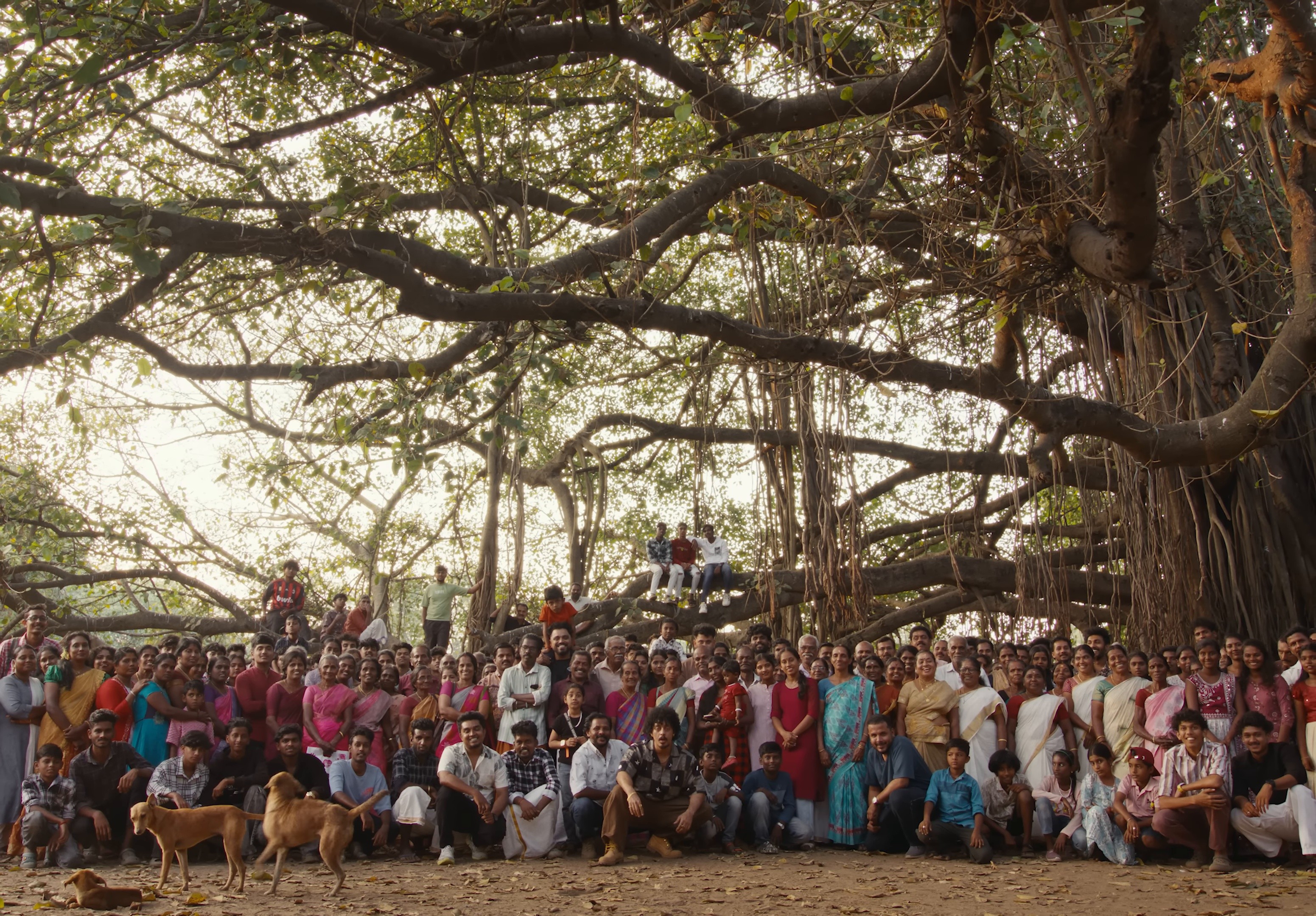 Run It Up (2025) —  shot,  lighting