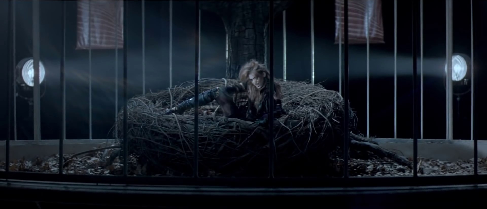 Can't Be Tamed (2010) —  shot,  lighting