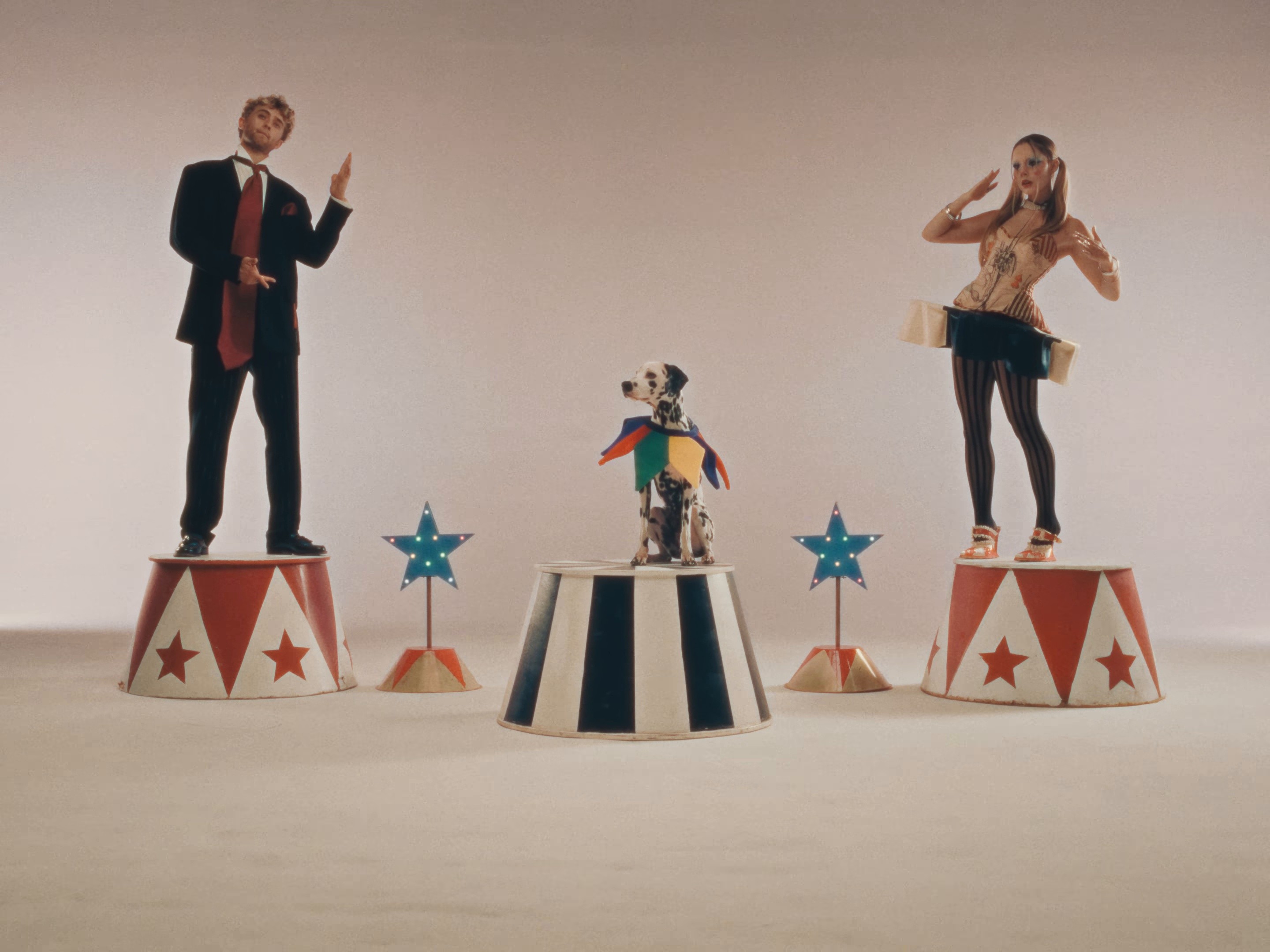 dog (2024) —  shot,  lighting