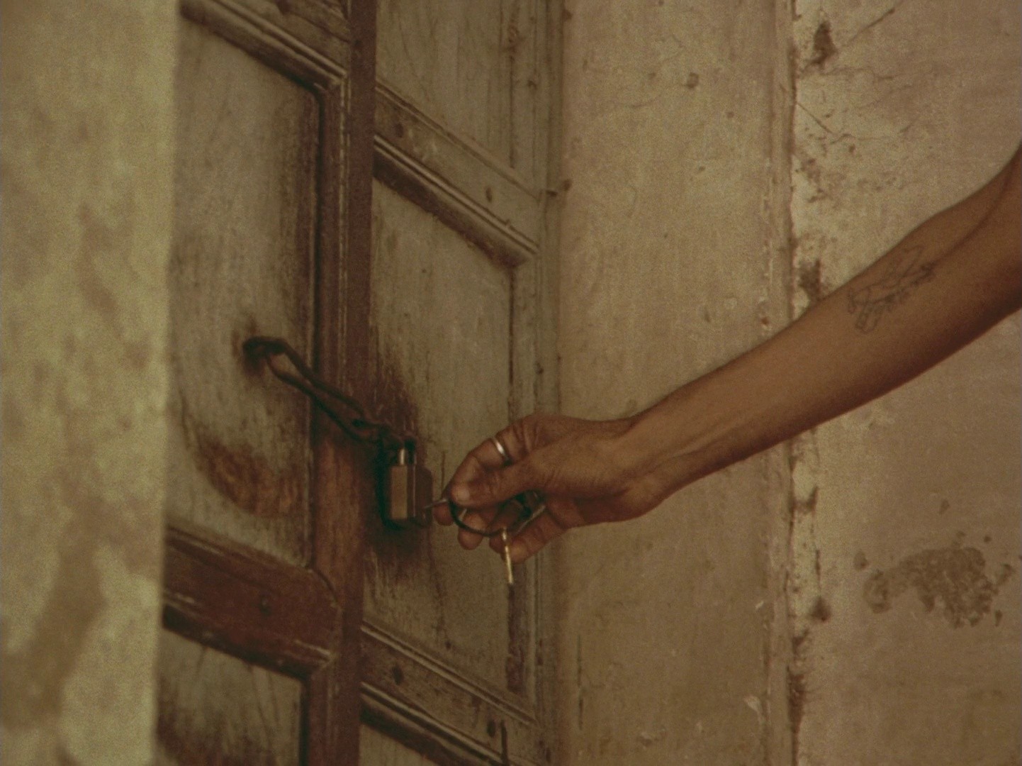 Joi Baba Felunath: The Elephant God (1979) —  shot,  lighting