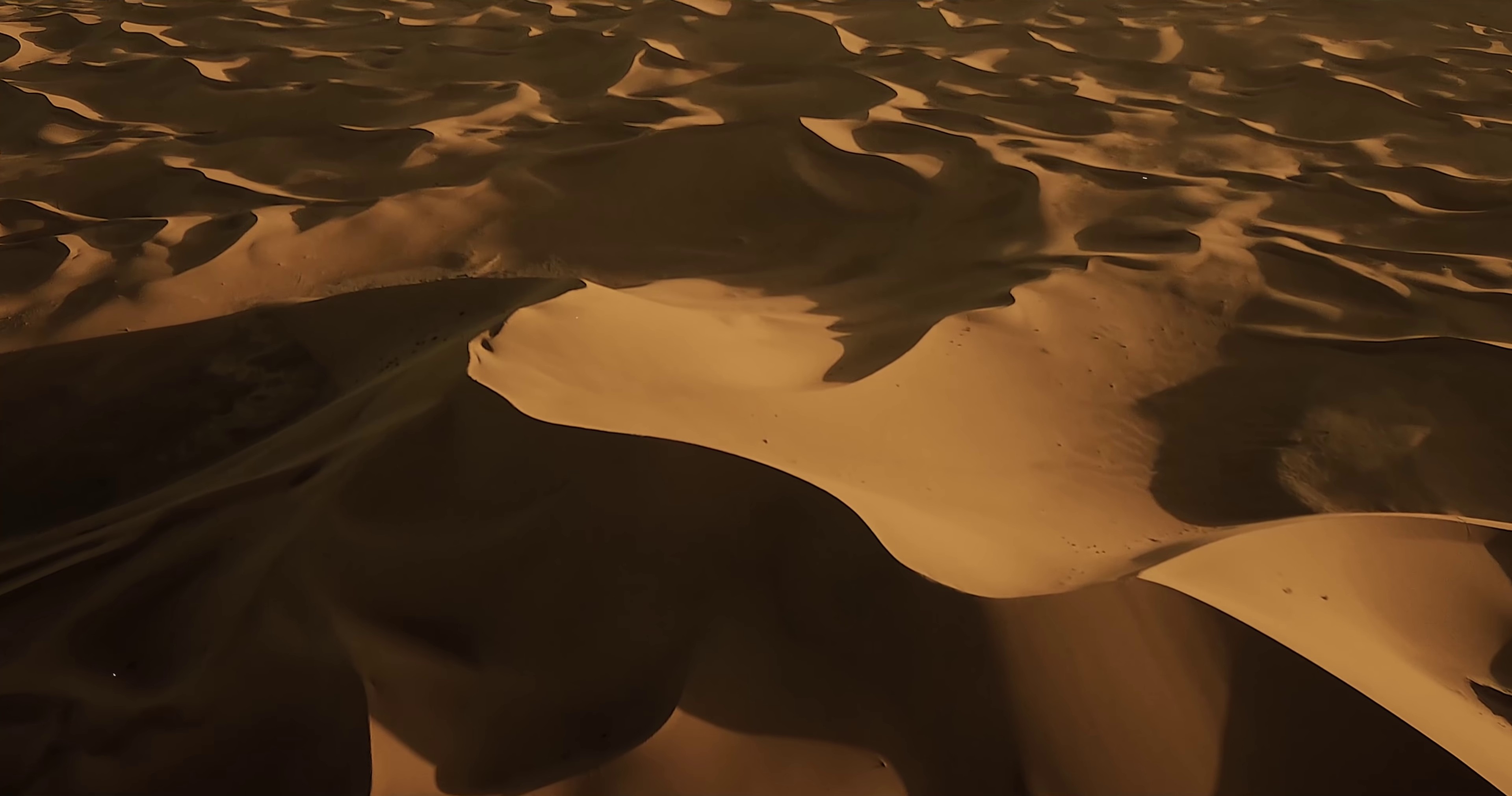 Kiss Me + Neon (2020) —  shot,  lighting