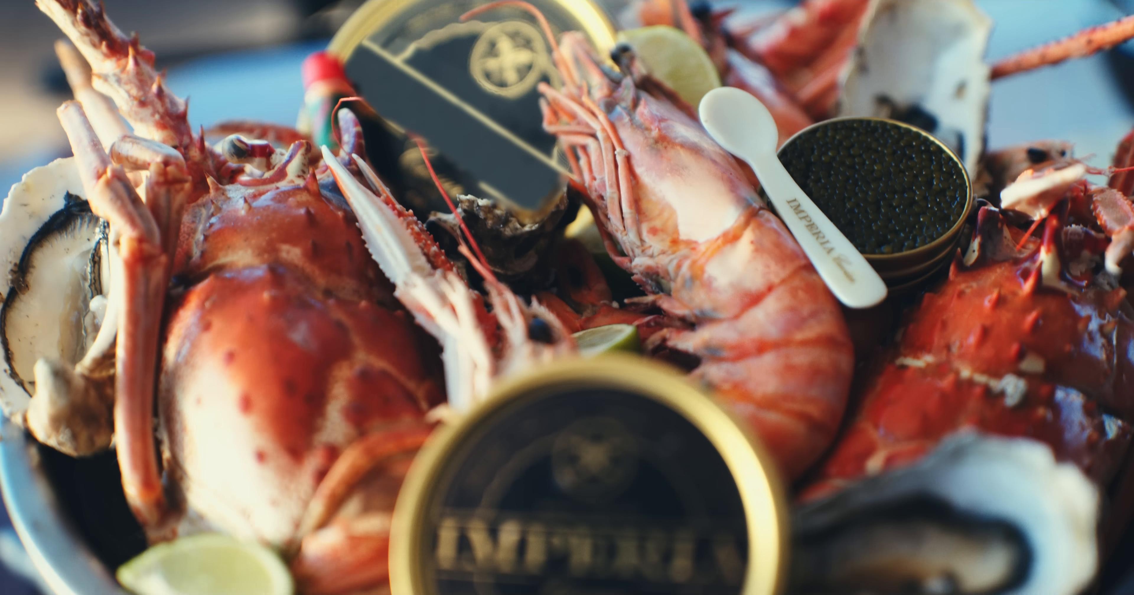 Imaginary Playerz (2025) —  shot,  lighting