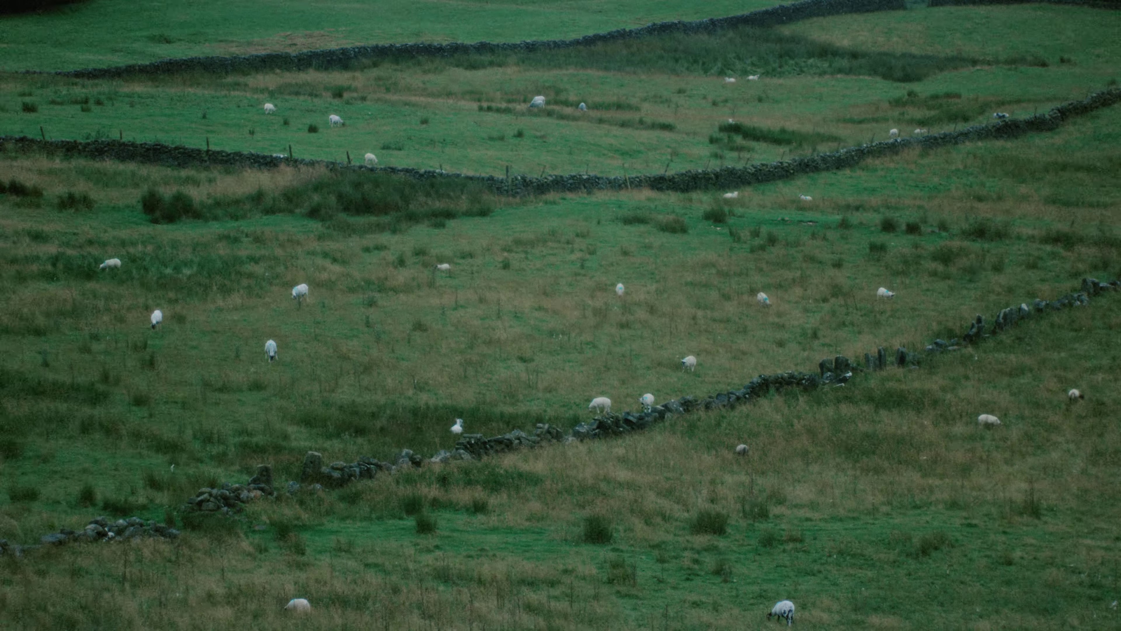 The World's Biggest Paving Slab (2023) —  shot,  lighting