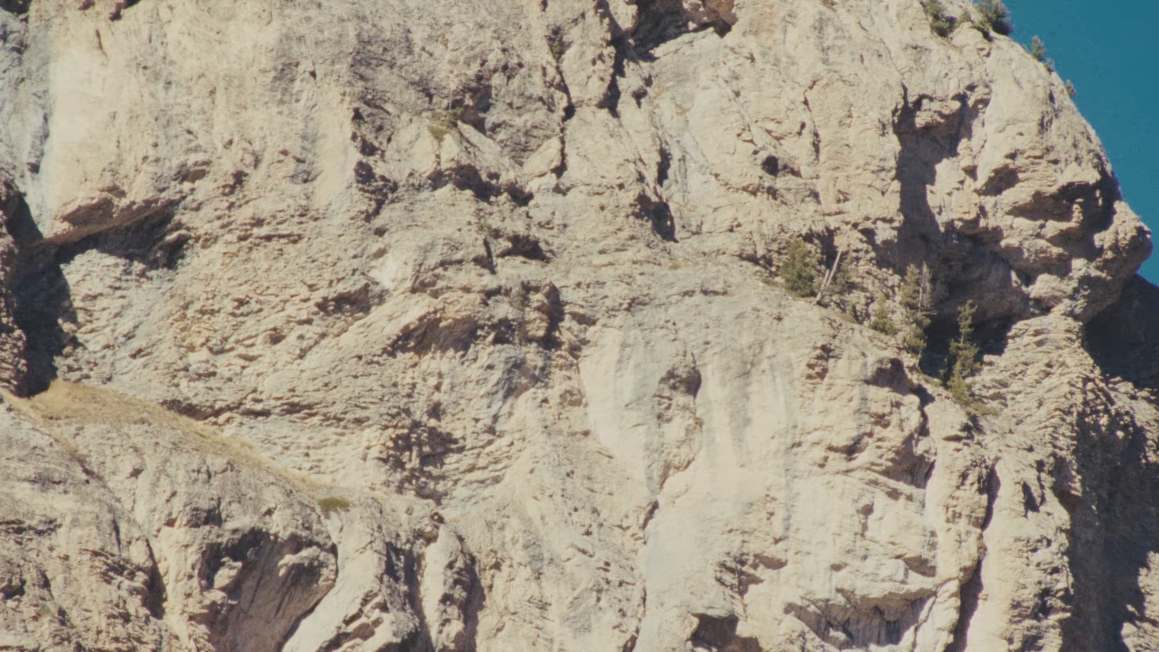 Prophet (2025) —  shot,  lighting