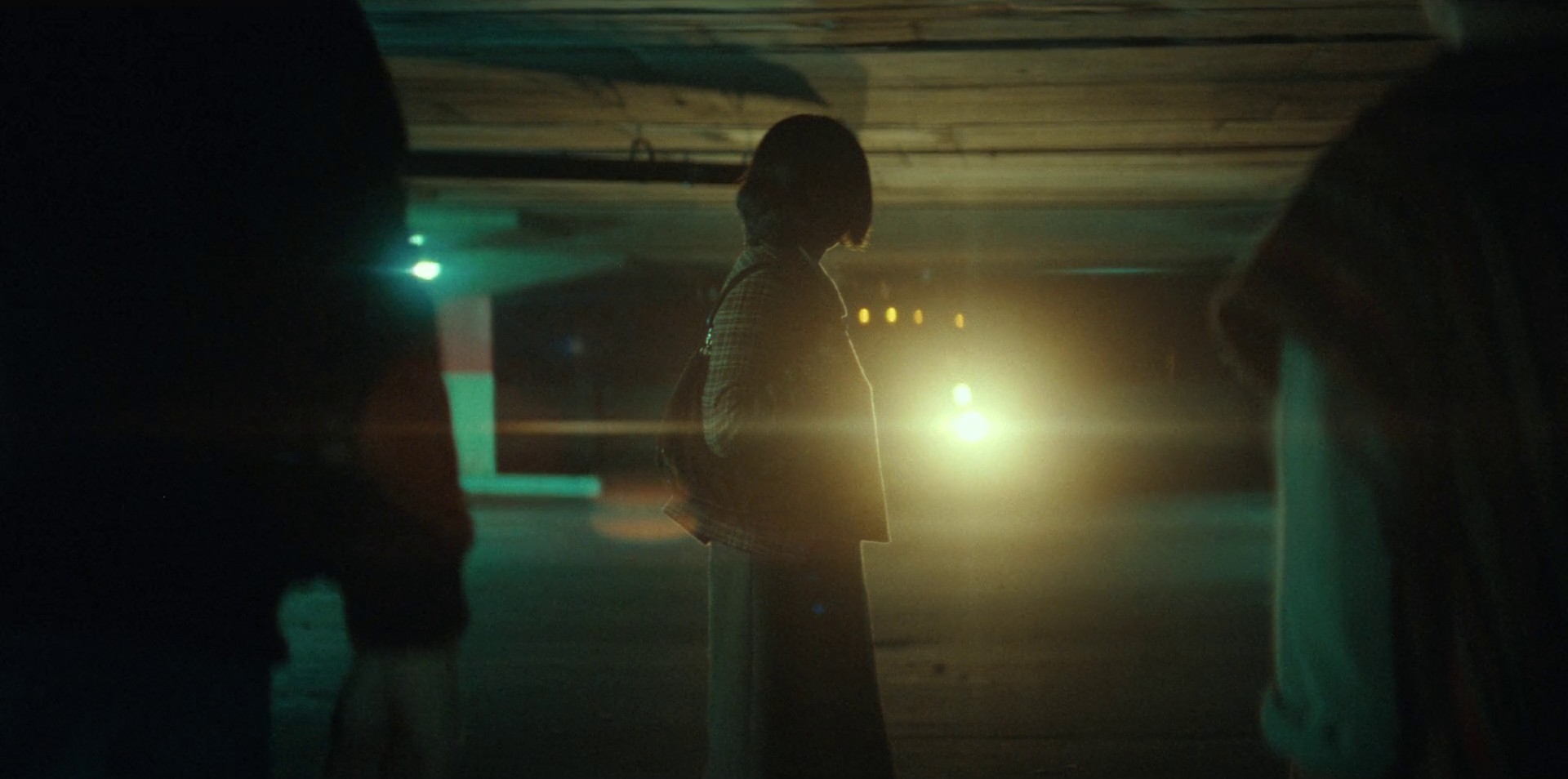 The Viewing (2022) —  shot,  lighting