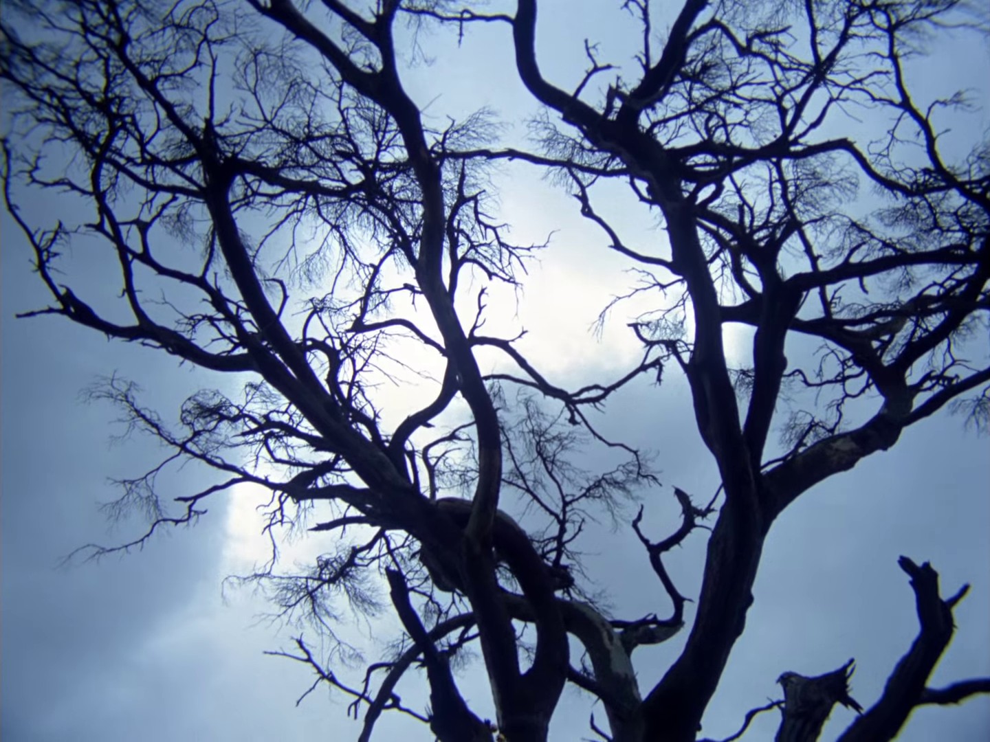 Strawberry Fields Forever (1967) —  shot,  lighting