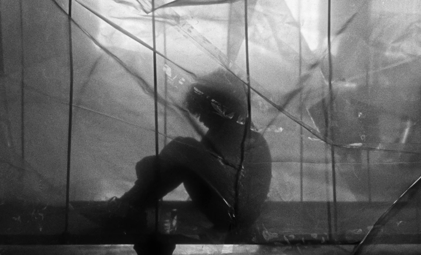 Gallo pinto (2019) —  shot,  lighting