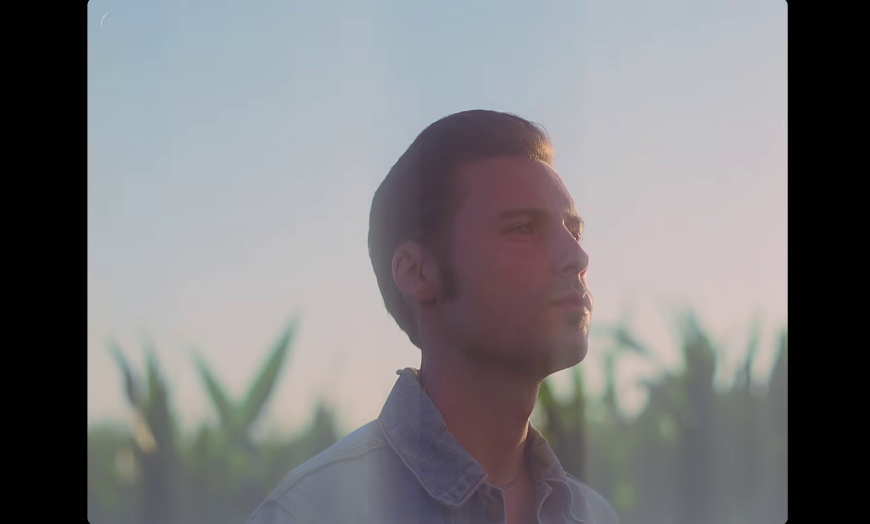 I should go (2020) —  shot,  lighting