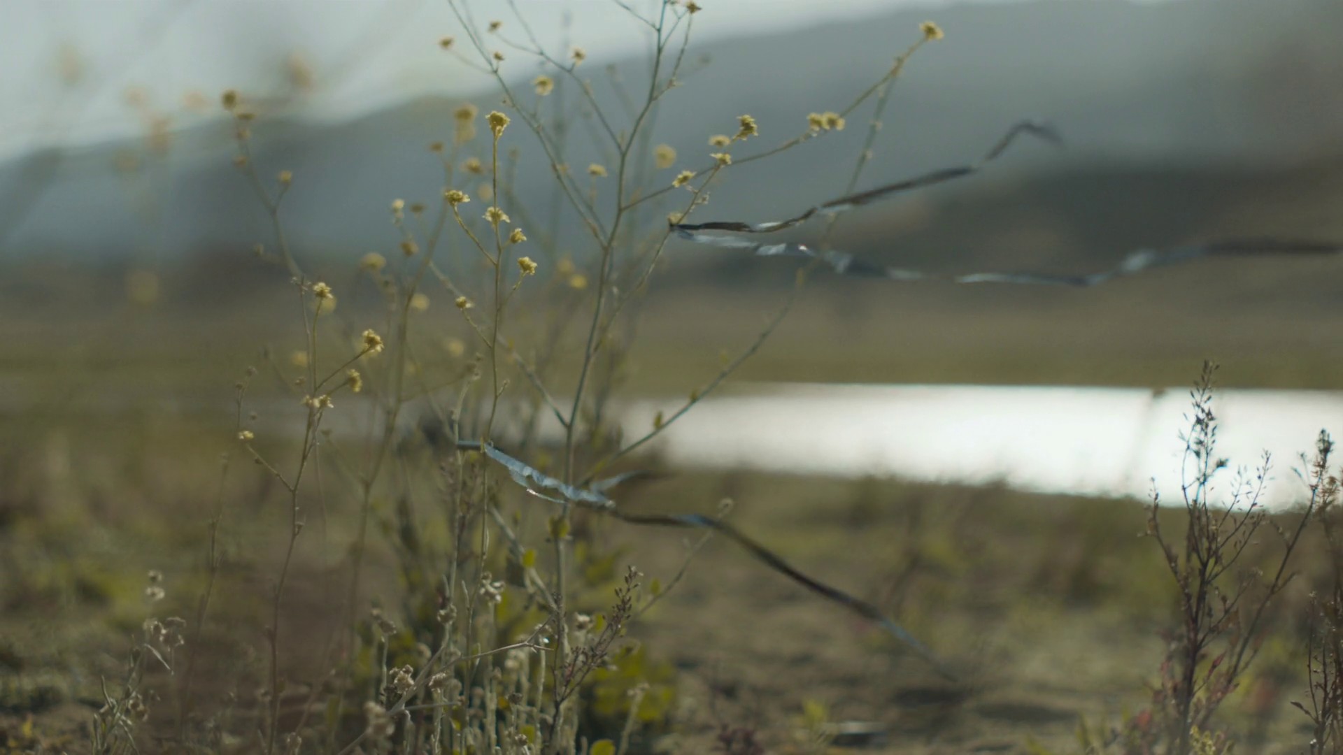 Neuroplasticity (2015) —  shot,  lighting