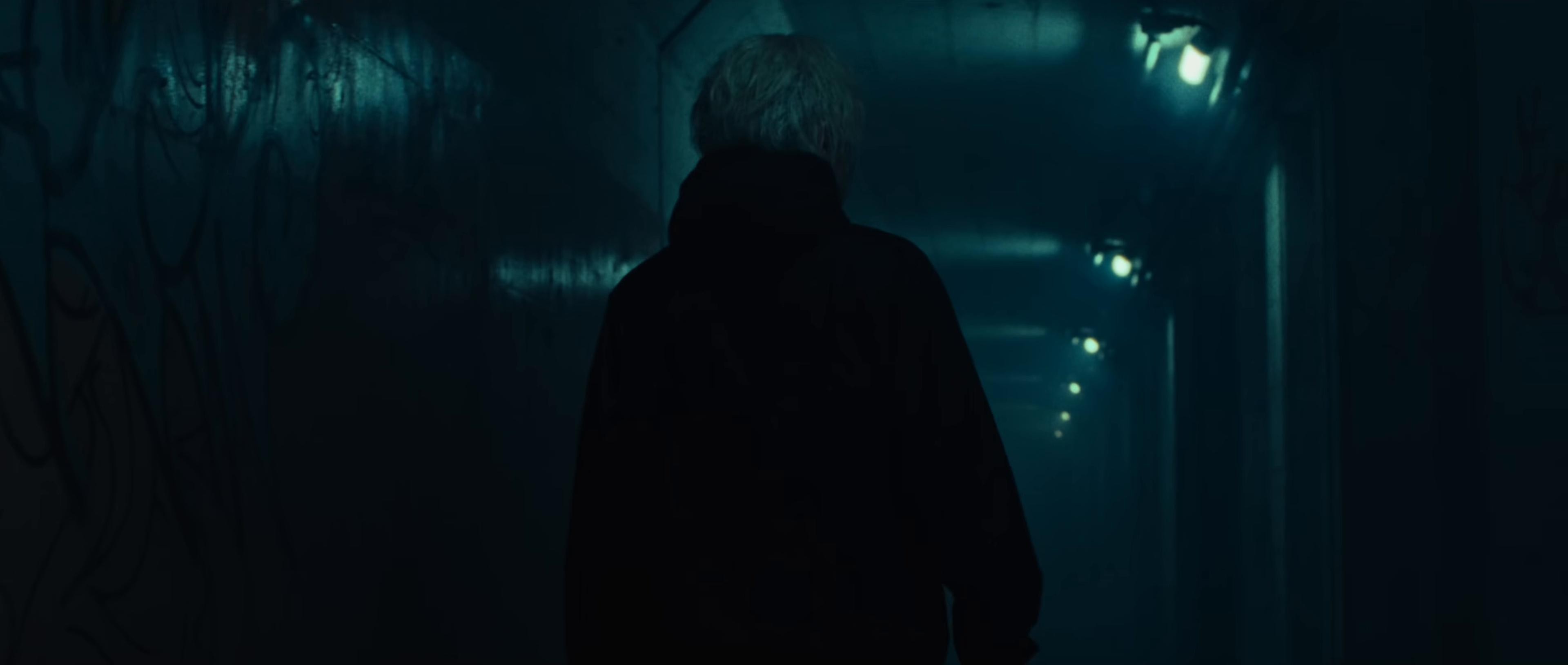 Dried Flower (2024) —  shot,  lighting