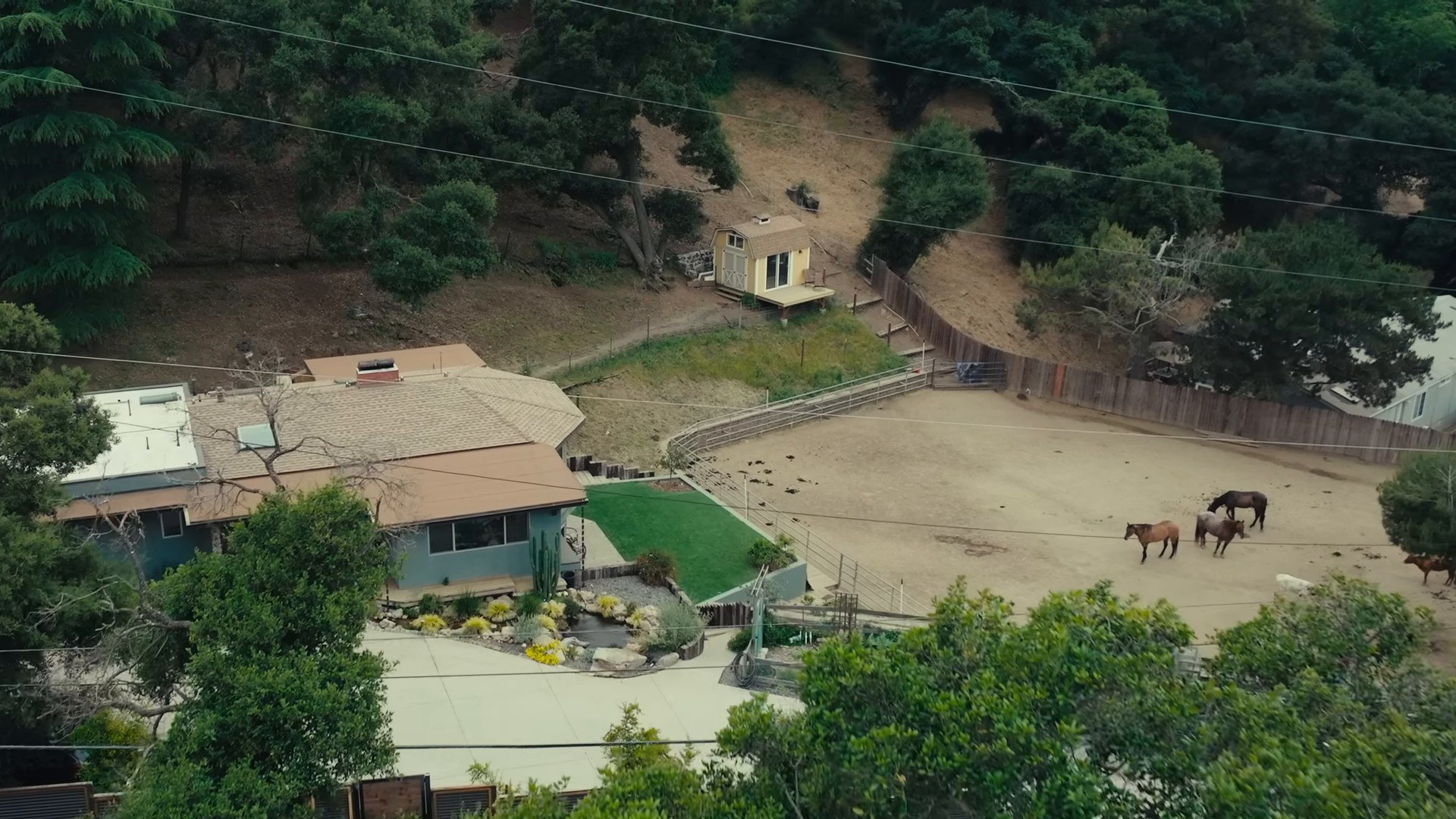 Thought You Were Waving (2024) —  shot,  lighting