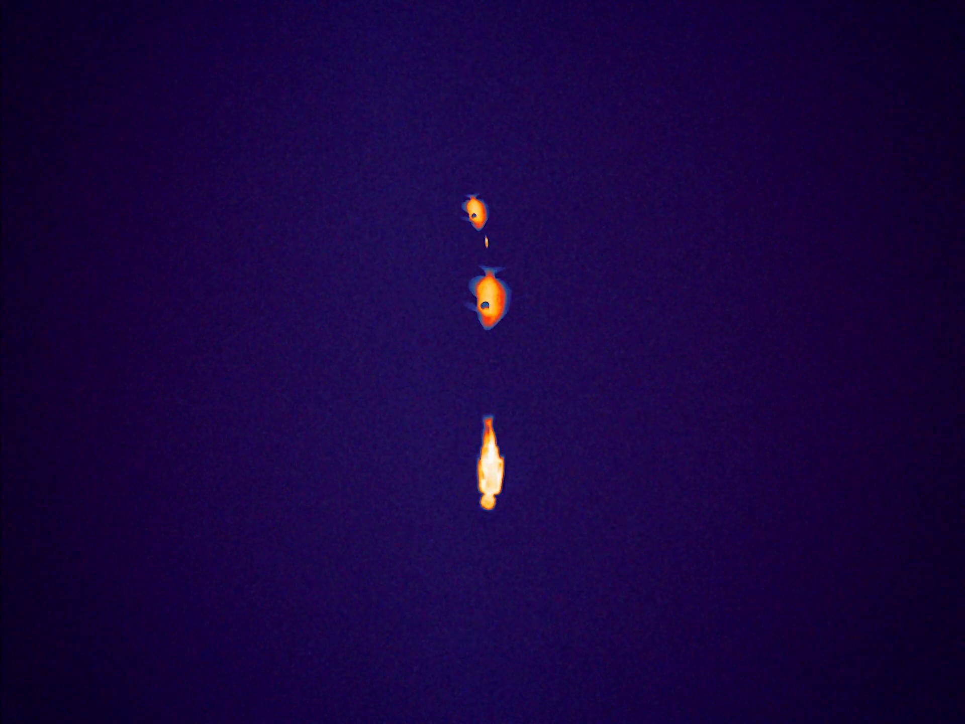 WWF - In Hot Water (2024) —  shot,  lighting