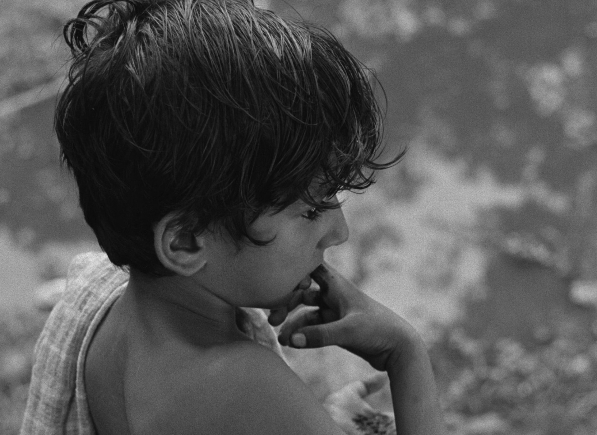 Pather Panchali (1955) —  shot,  lighting