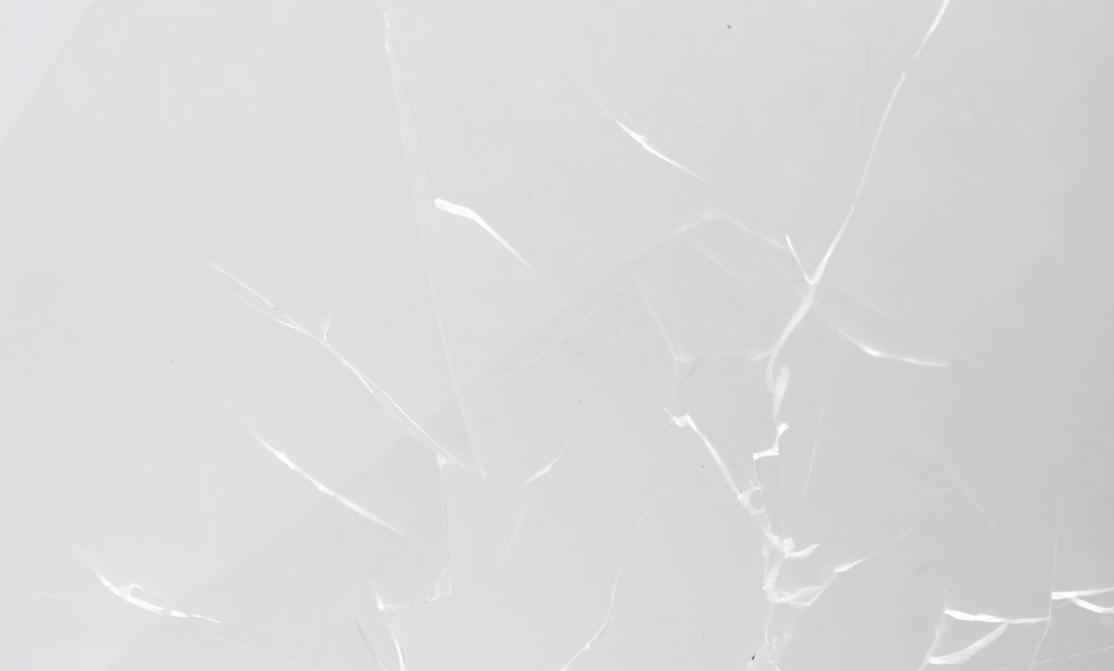 saisons, le film: printemps (2024) —  shot,  lighting