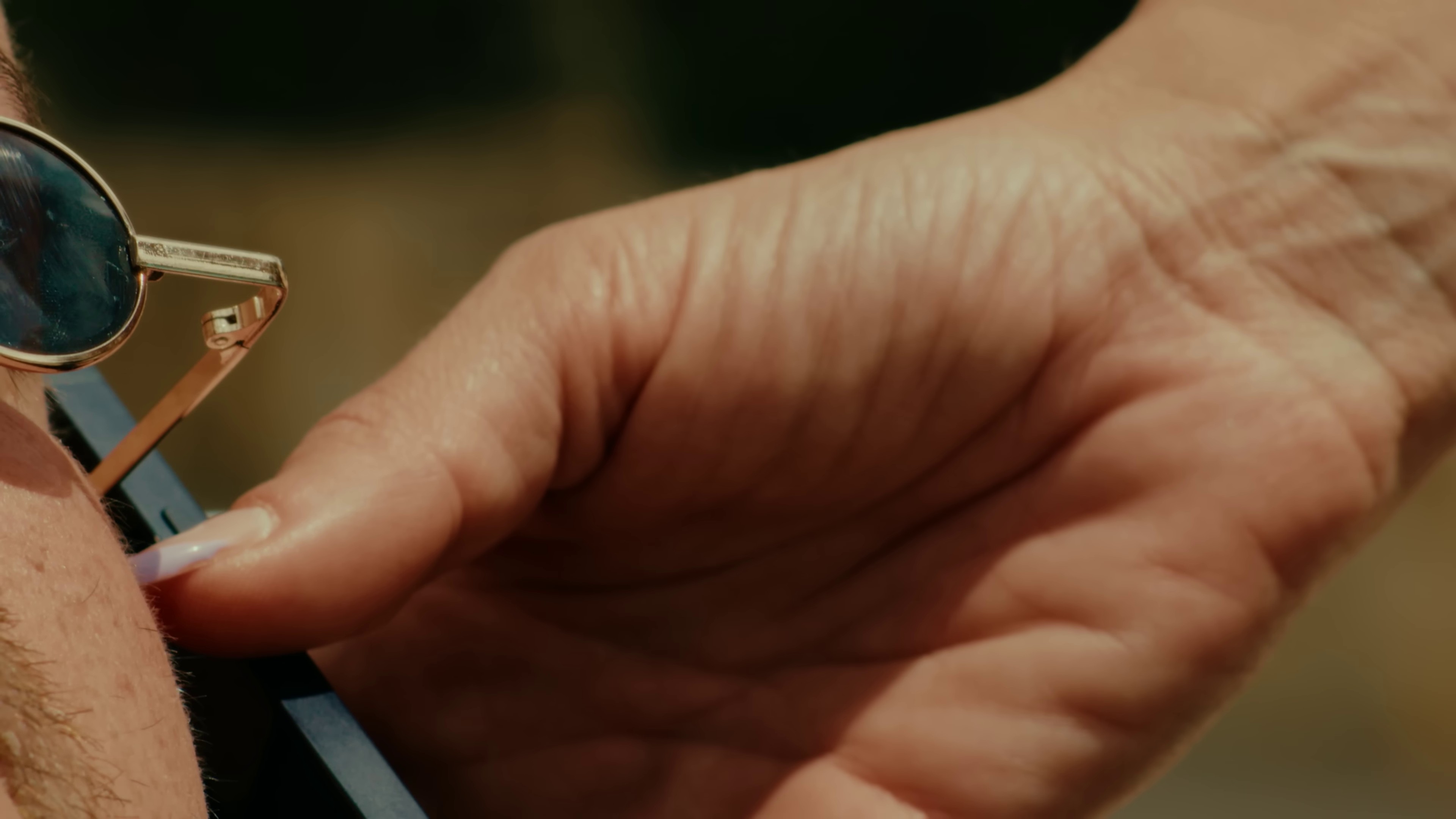 Pélican (2023) —  shot,  lighting