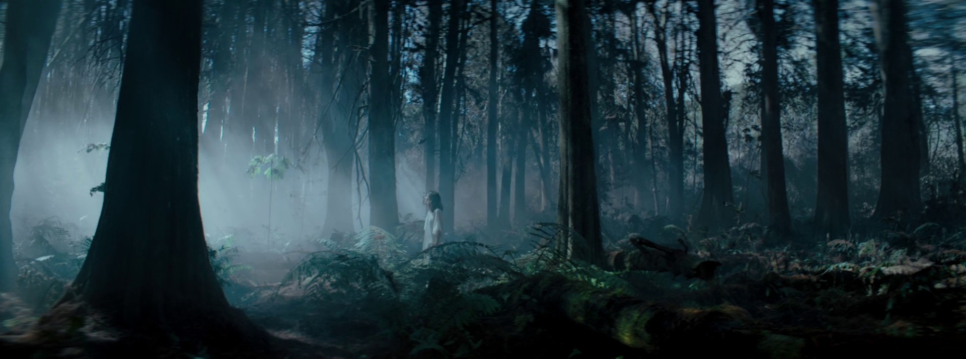 Calendário (2020) —  shot,  lighting