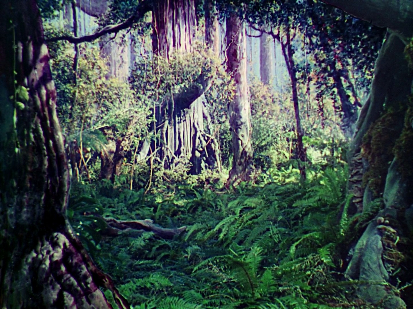 Jungle Book (1942) —  shot,  lighting