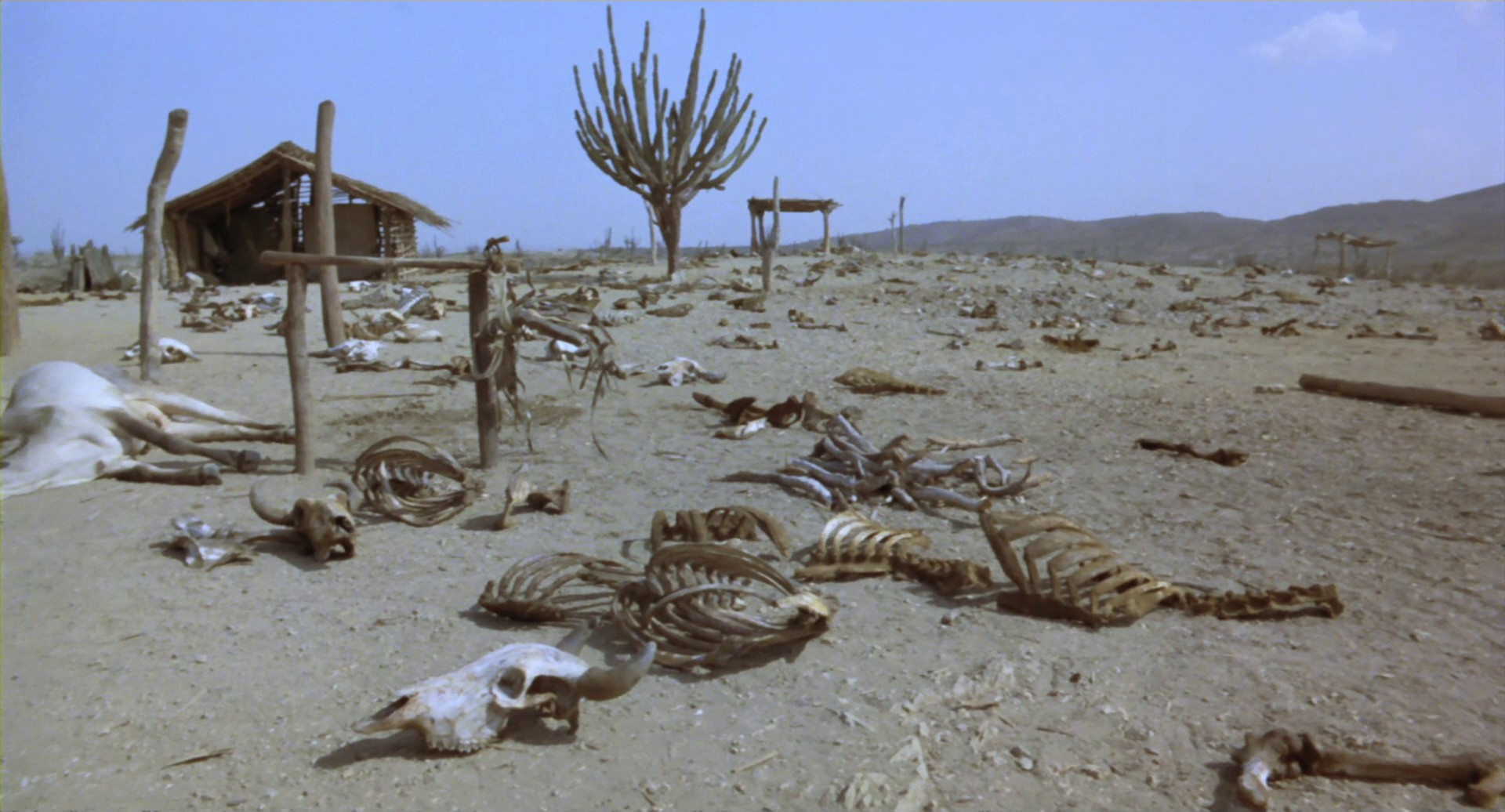 Cobra Verde (1987) —  shot,  lighting