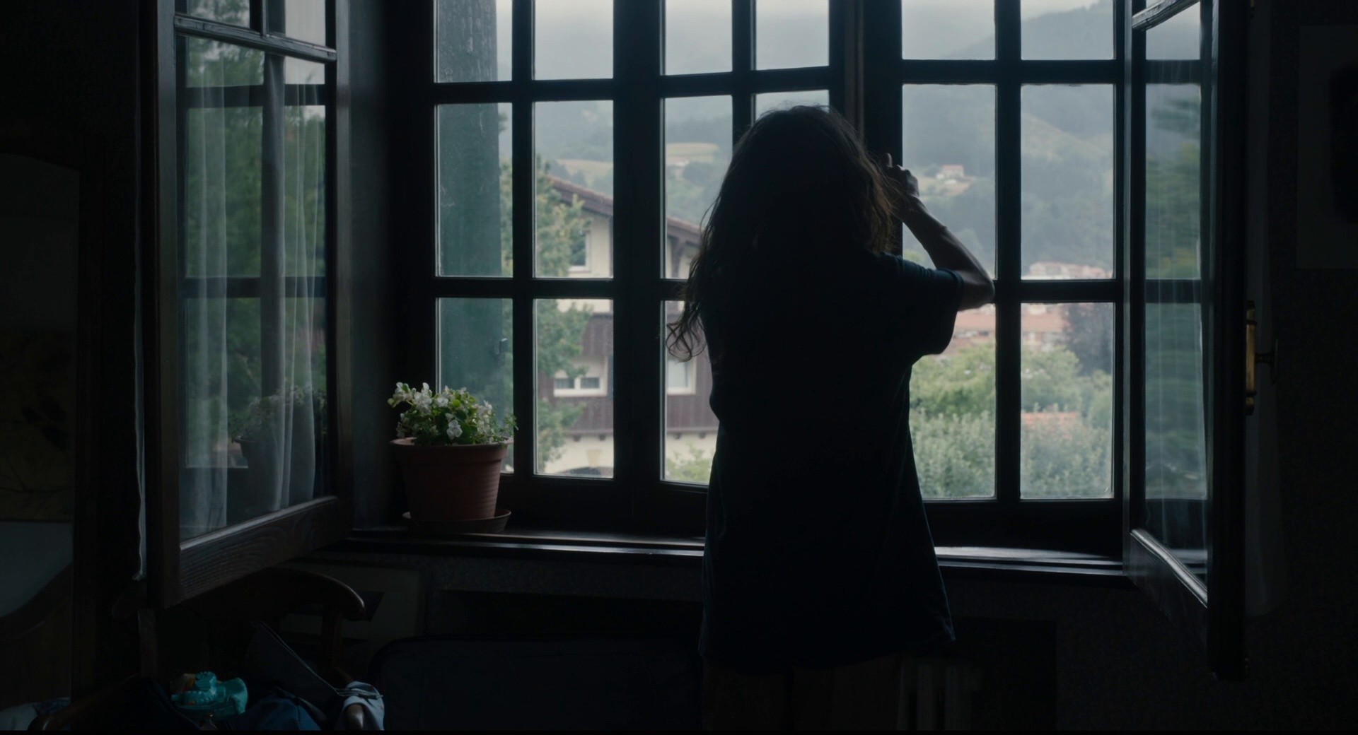 20,000 Species of Bees (2023) —  shot,  lighting