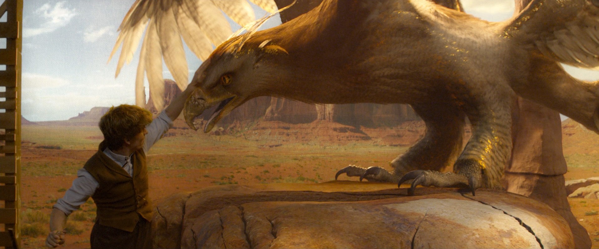 Fantastic Beasts and Where to Find Them (2016) —  shot,  lighting