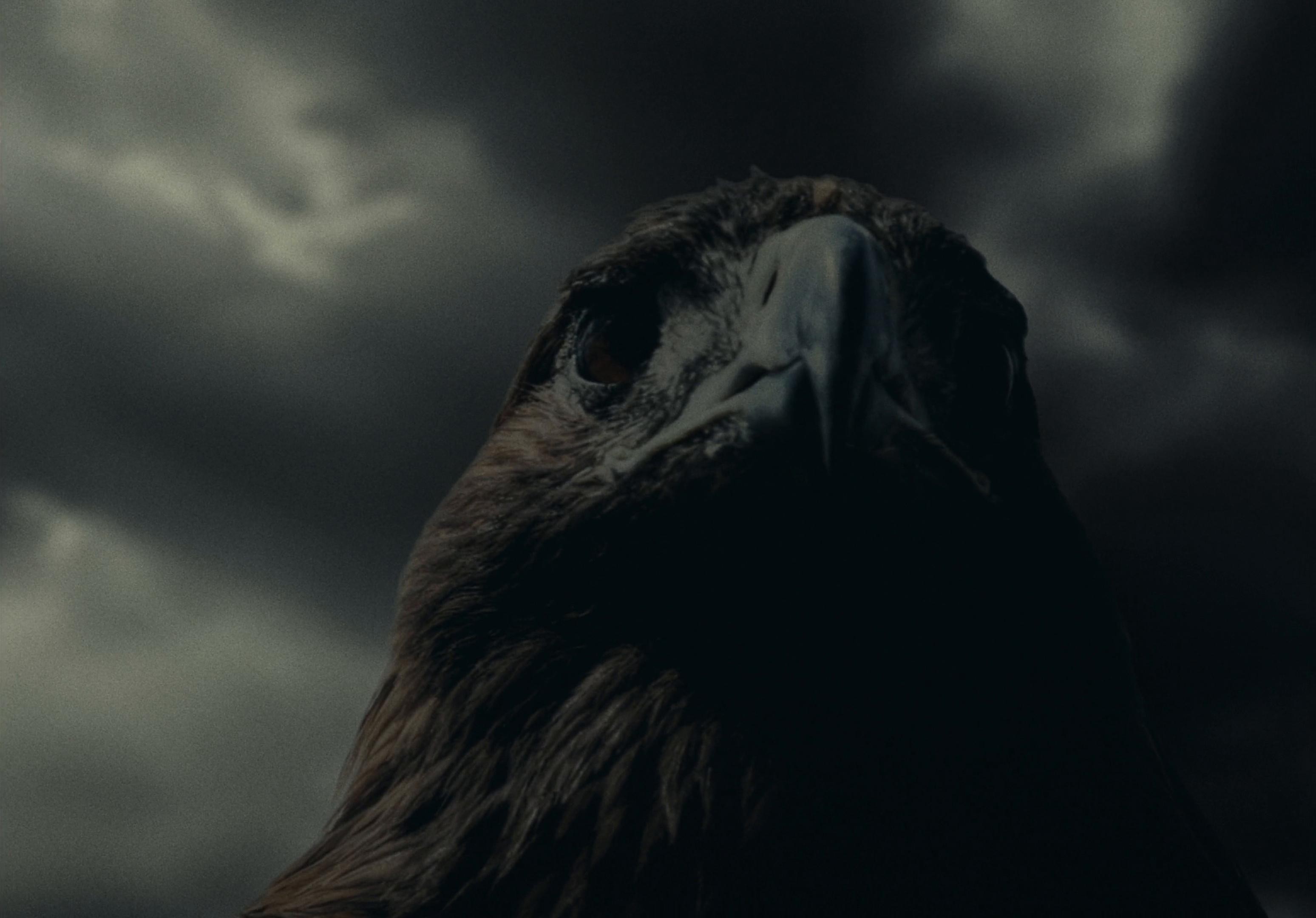 NAVRÉ (2025) —  shot,  lighting