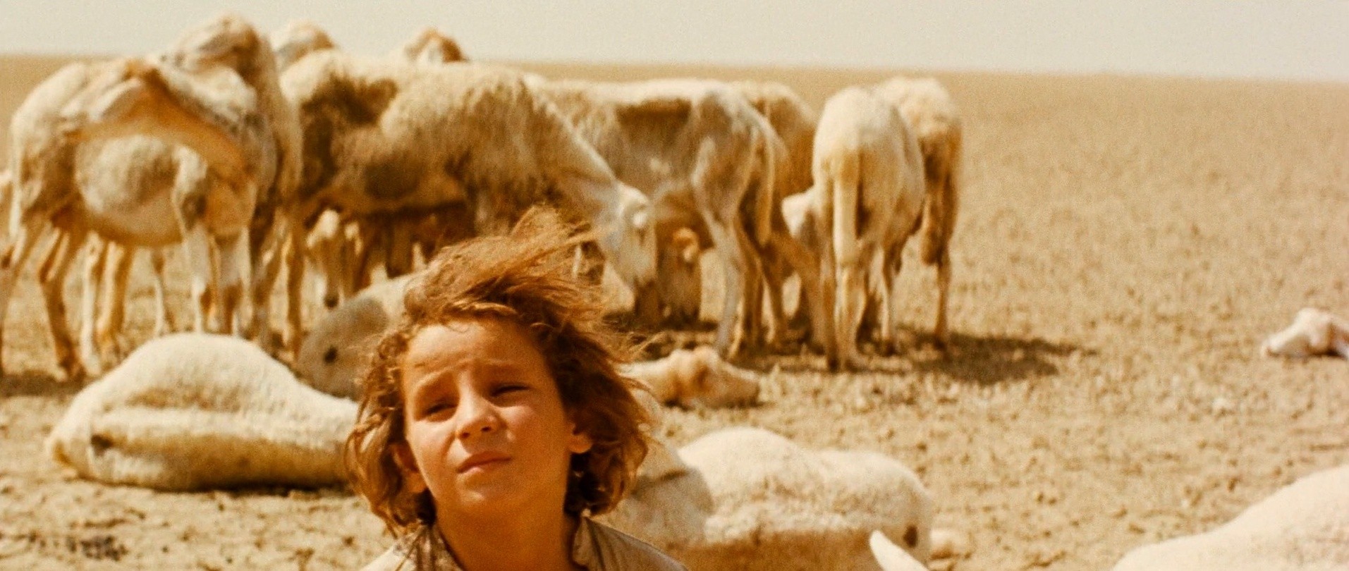 Chronicle of the Years of Fire (1975) —  shot,  lighting