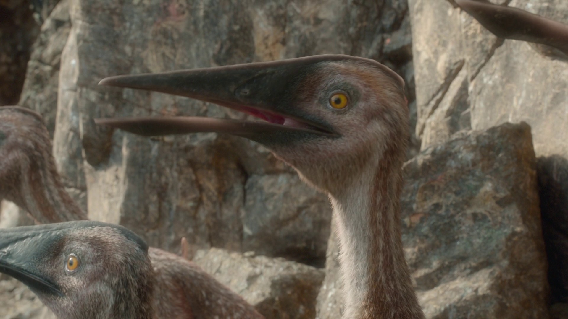 Freshwater (2022) —  shot,  lighting